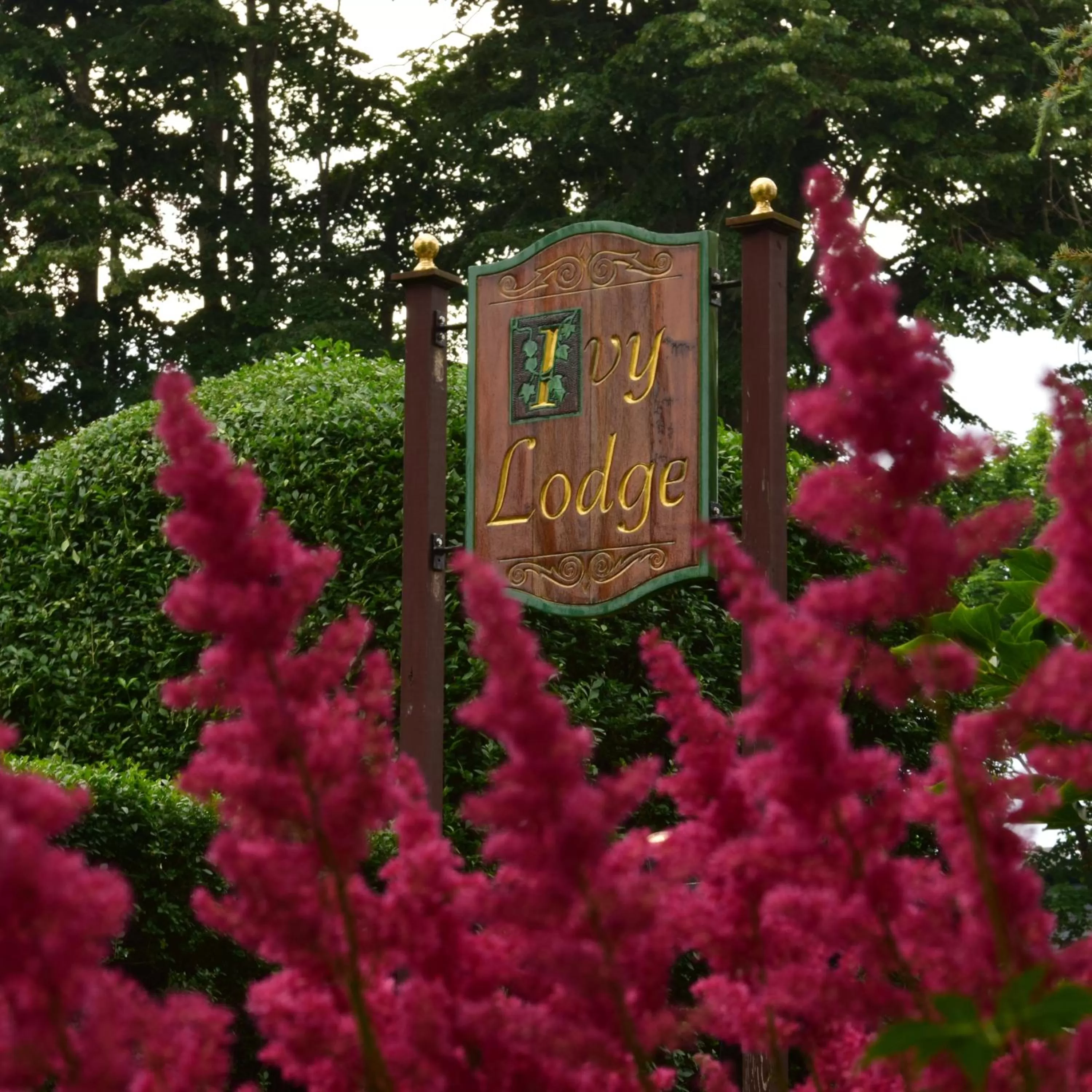 Property building, Property Logo/Sign in Ivy Lodge