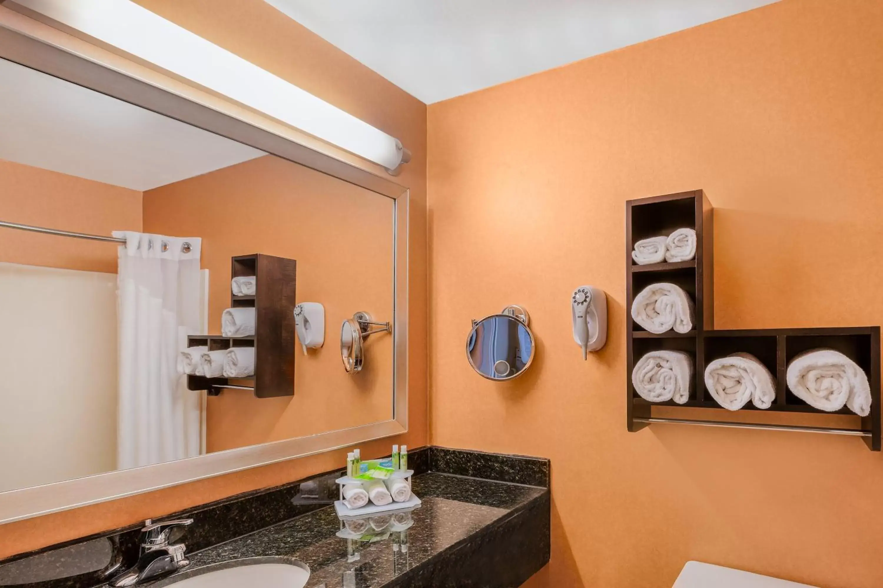 Bathroom in Holiday Inn Express Hotel & Suites San Jose-Morgan Hill by IHG Bathroom in Holiday Inn Express Hotel & Suites San Jose-Morgan Hill by IHG
