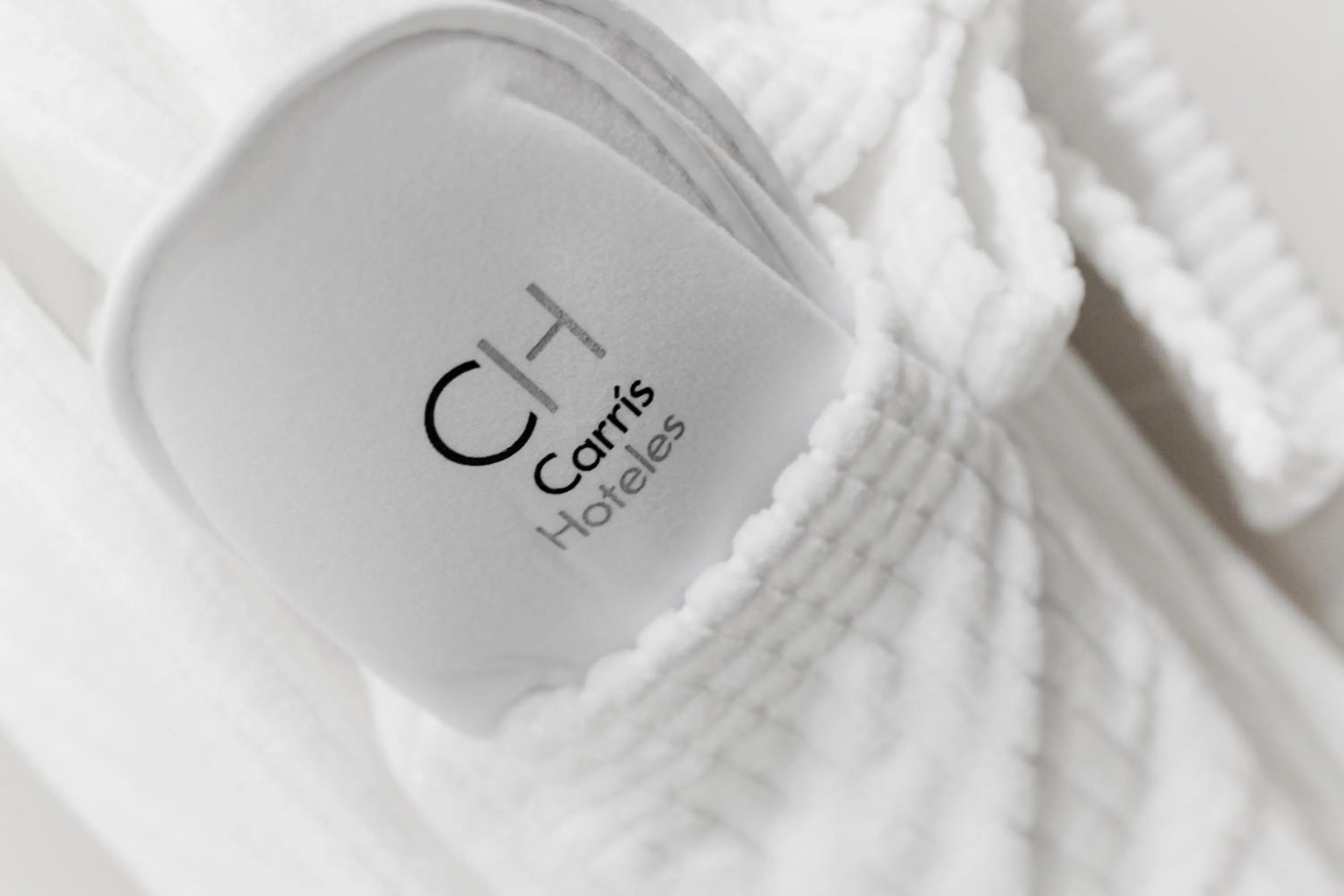 Decorative detail in Carris Casa de la Troya