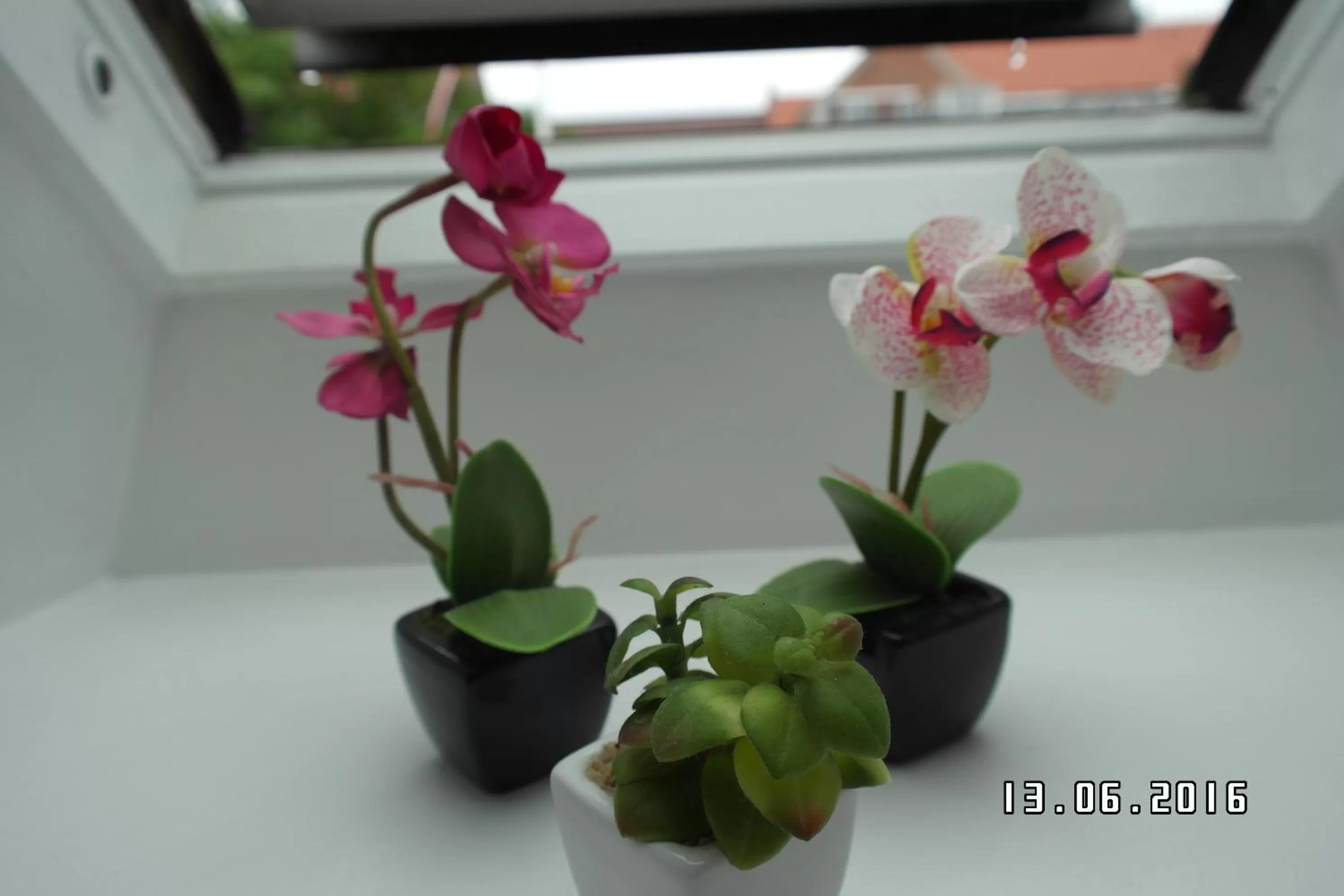 Other in Sweethome Guesthouse