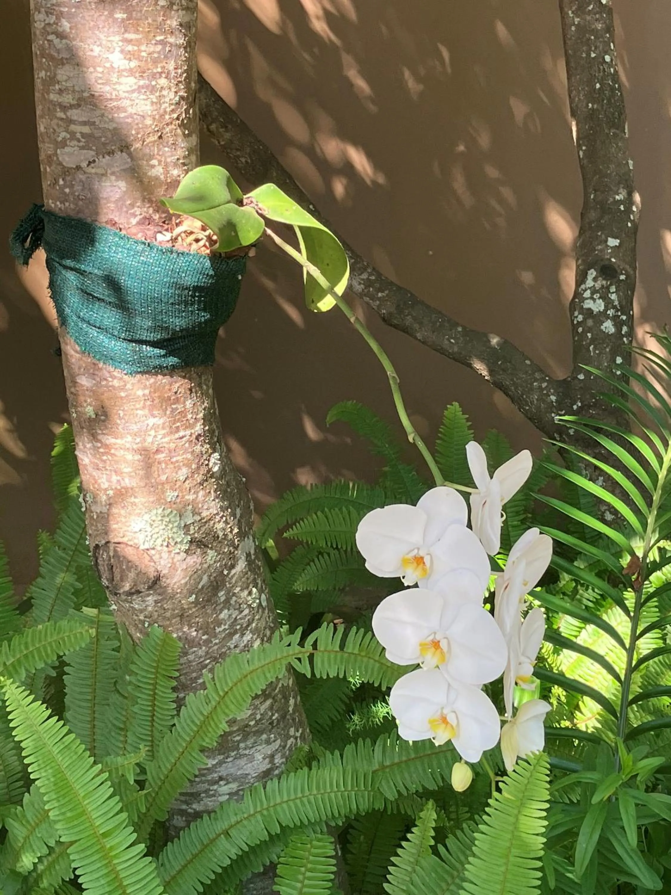 Property building in Prana Lodge