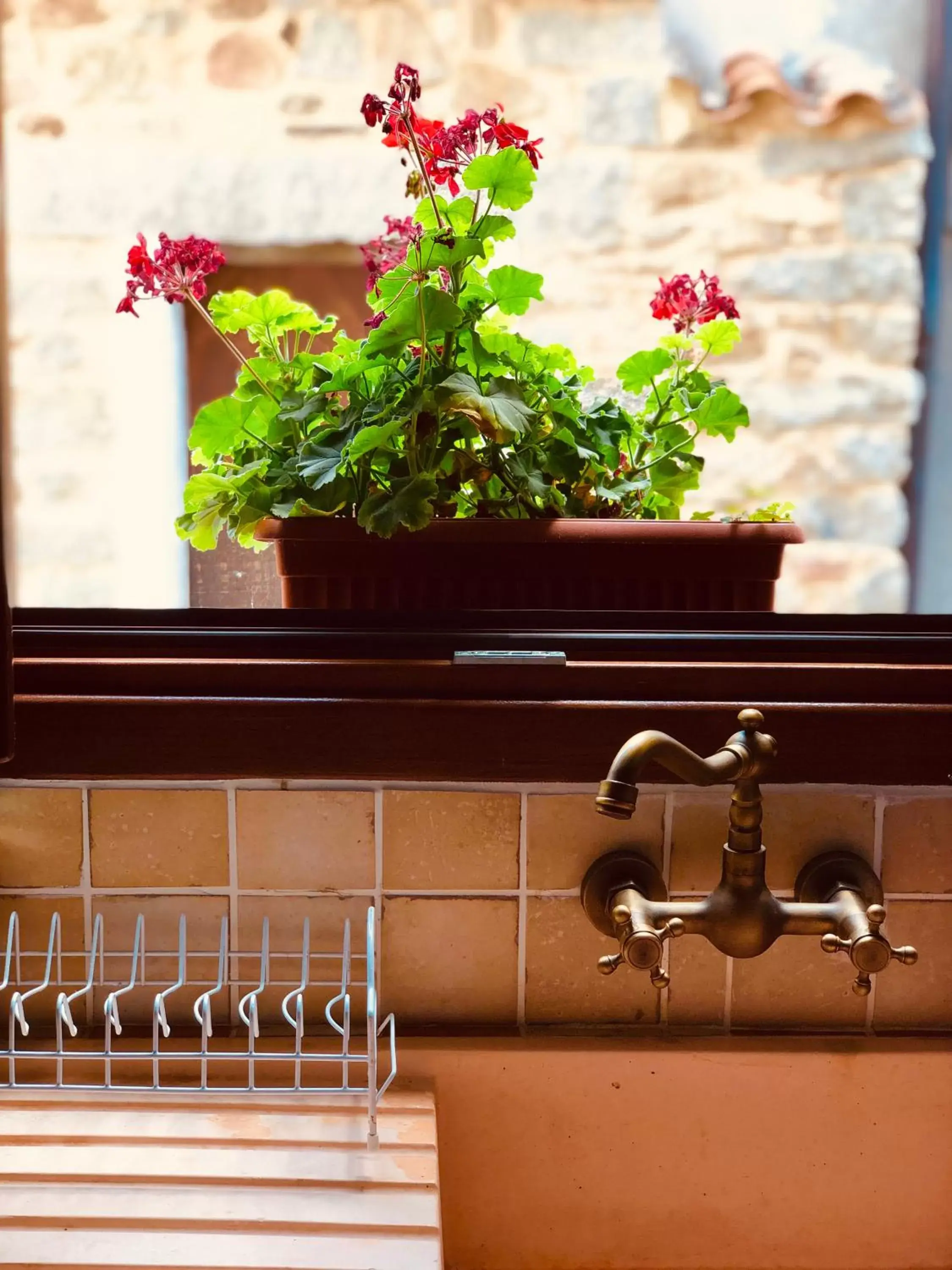 Communal kitchen in Casa Masini