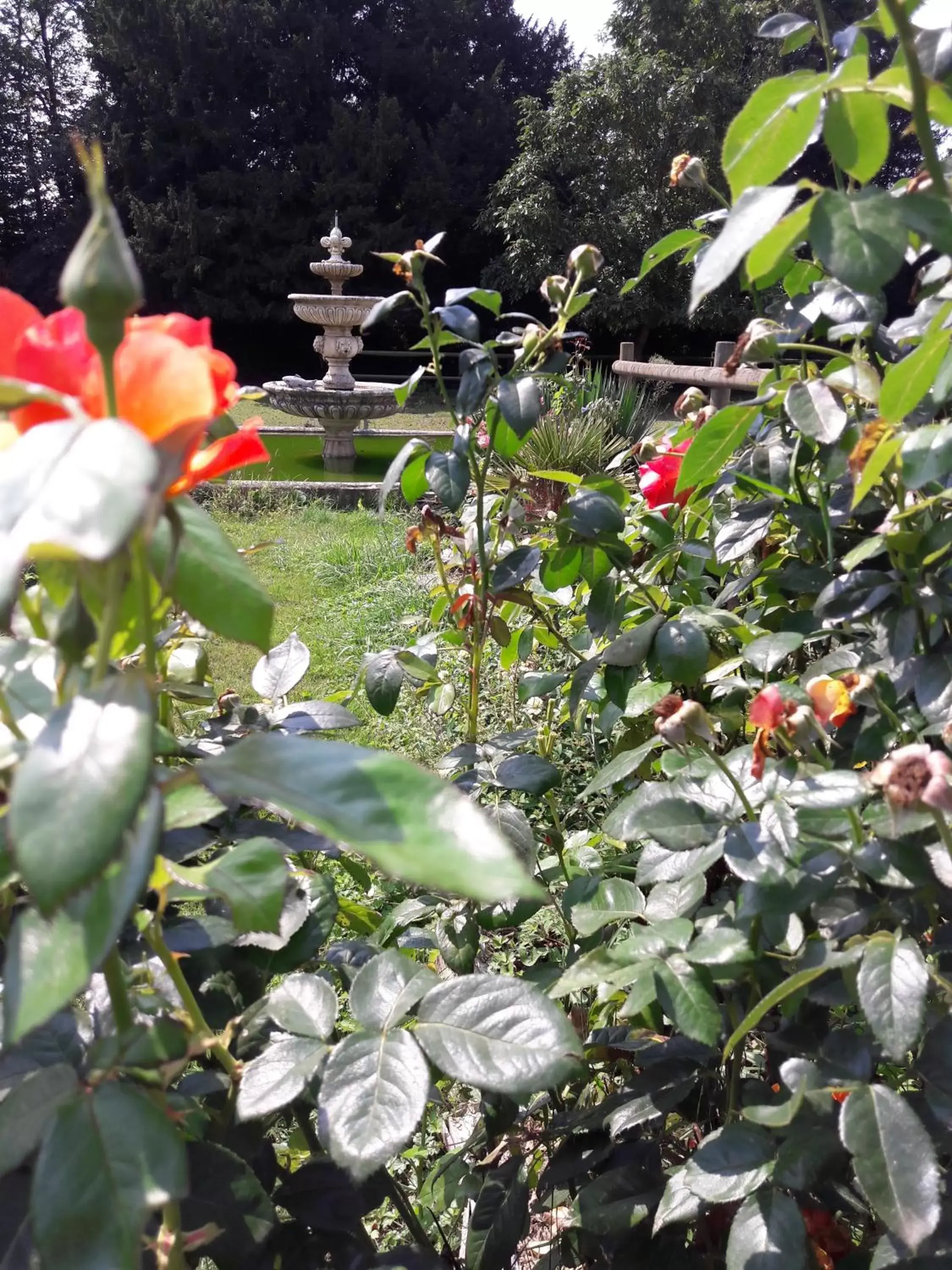 Garden view, Garden in Manoir de la Peignie
