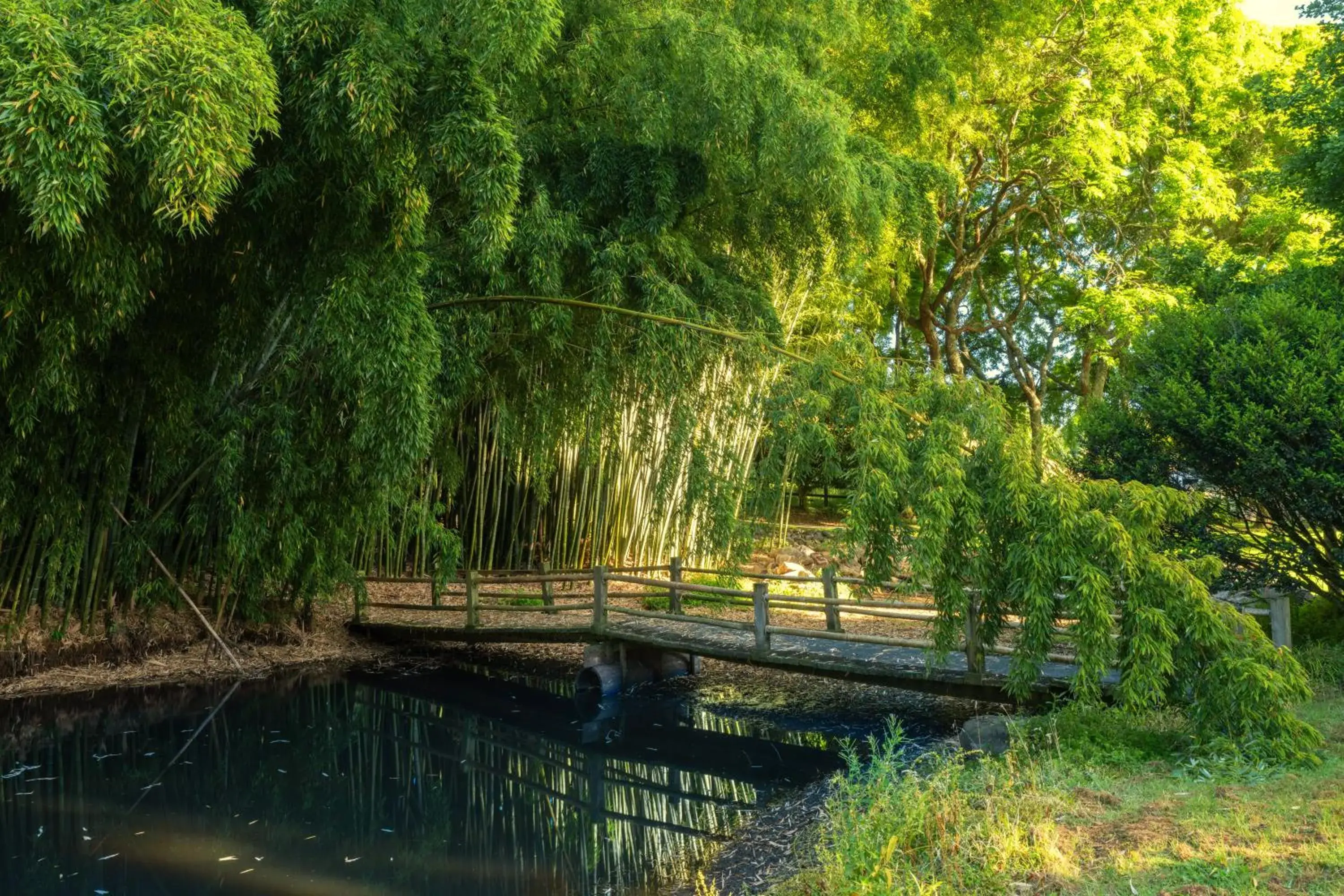 Lake view, Natural Landscape in Hana Lodge