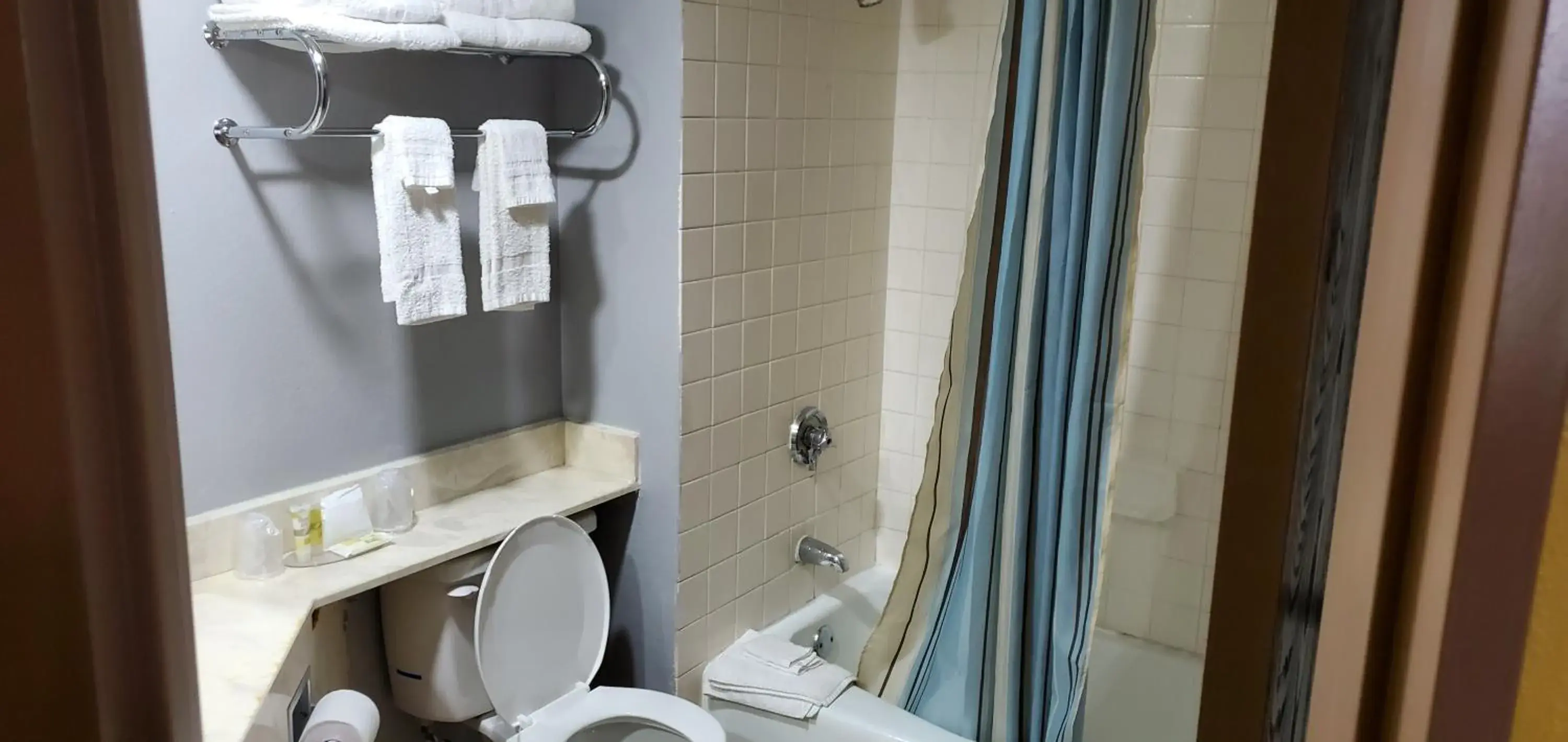 Shower, Bathroom in Red Carpet Inn-Macon