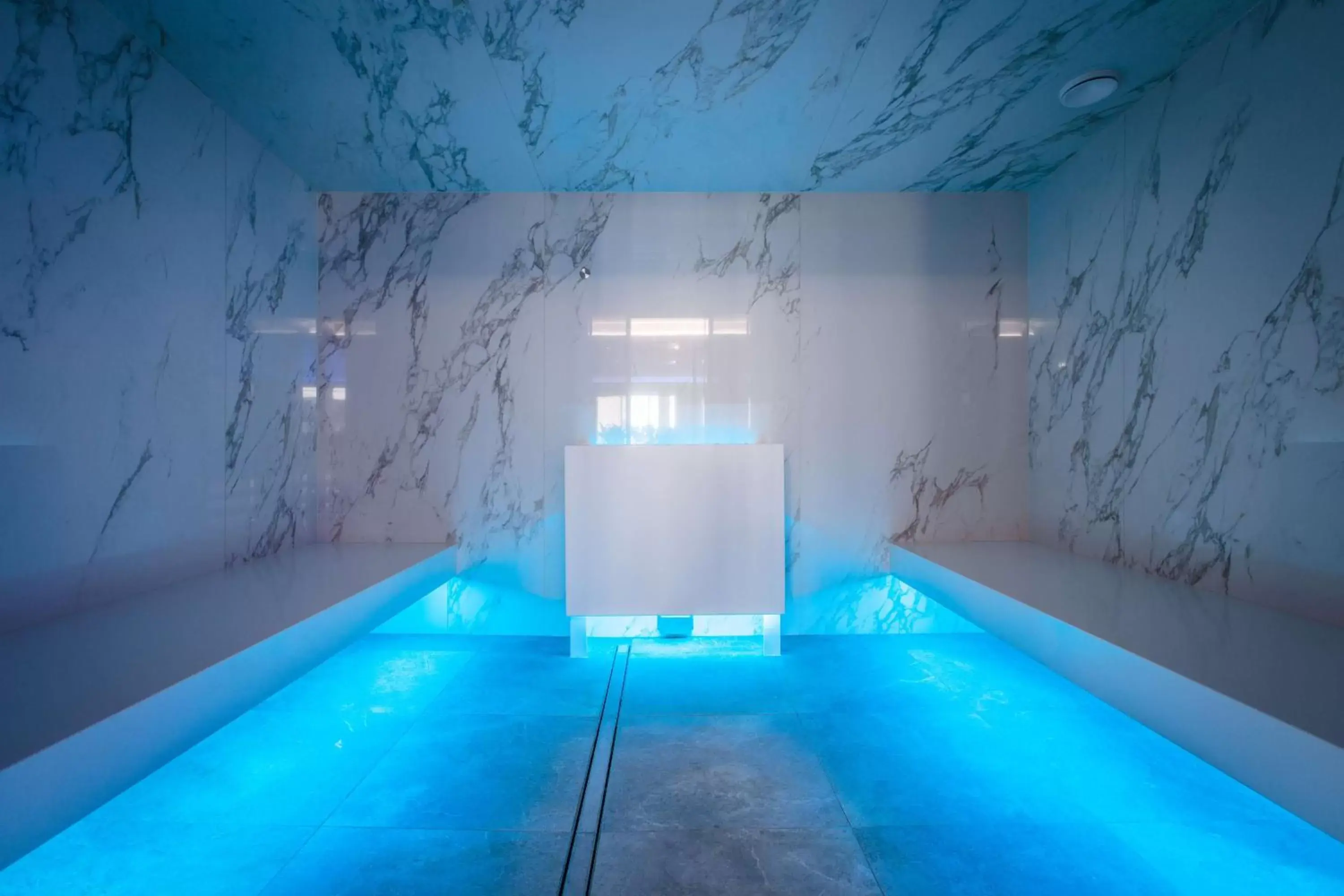 Steam room, Swimming Pool in Radisson Collection Hotel, Tallinn