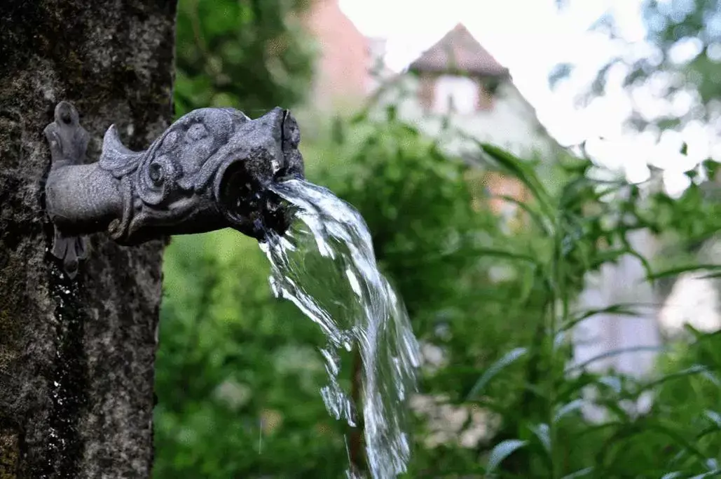 Decorative detail, Other Animals in Hotel Herrnschloesschen