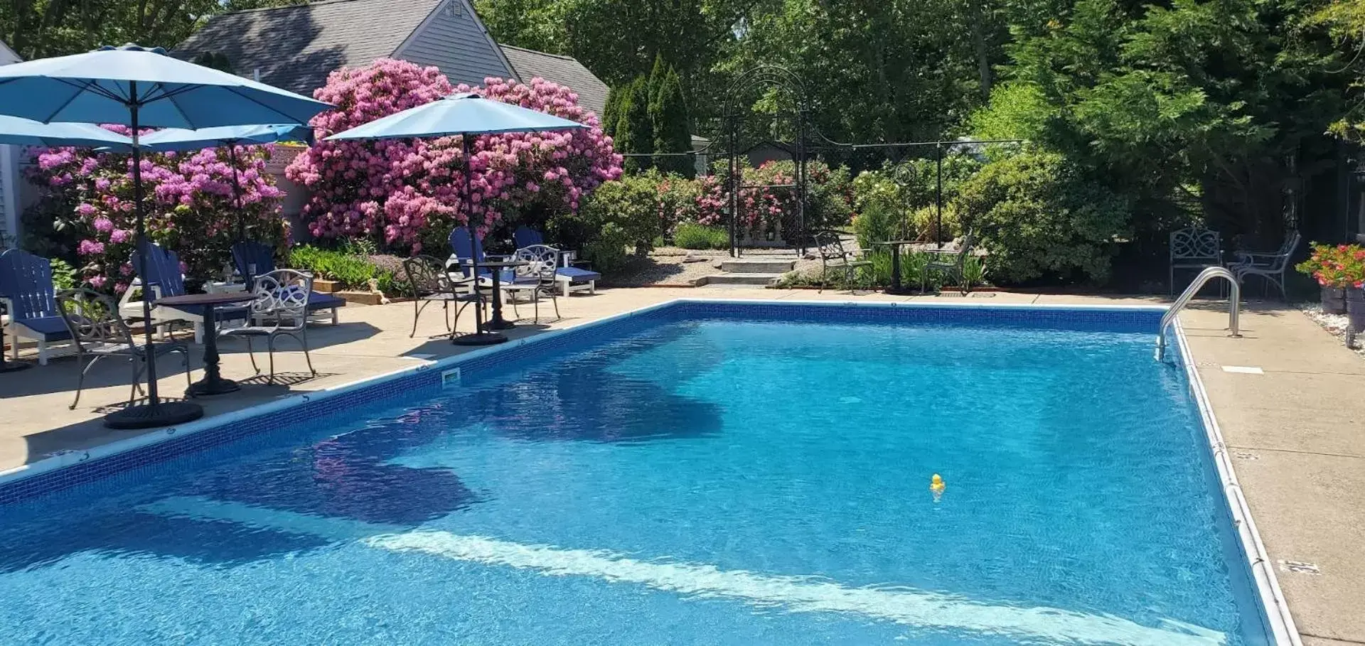 Swimming Pool in The Platinum Pebble Boutique Inn - Adults Only Property