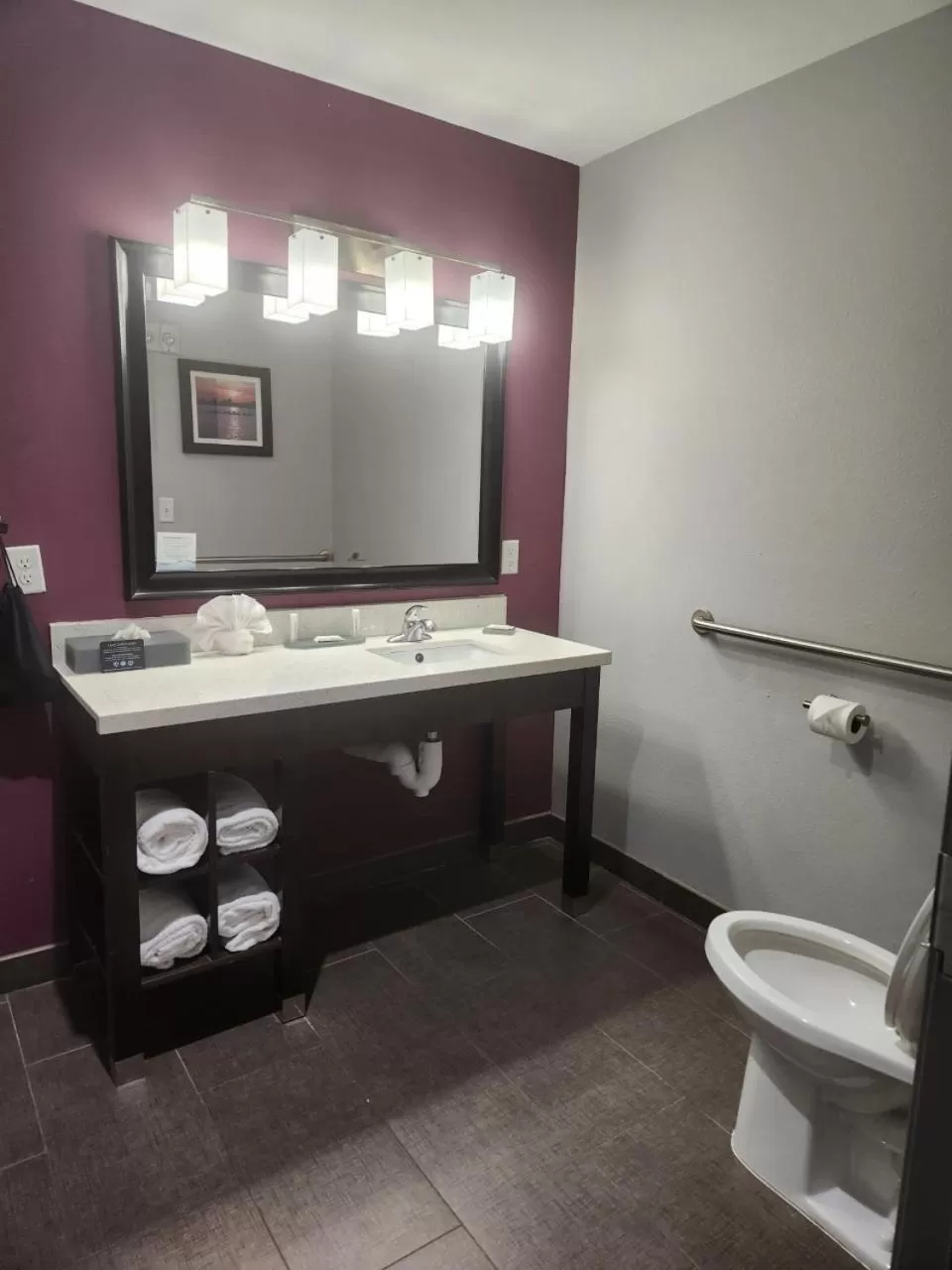 Toilet in La Quinta by Wyndham Dallas Grand Prairie North