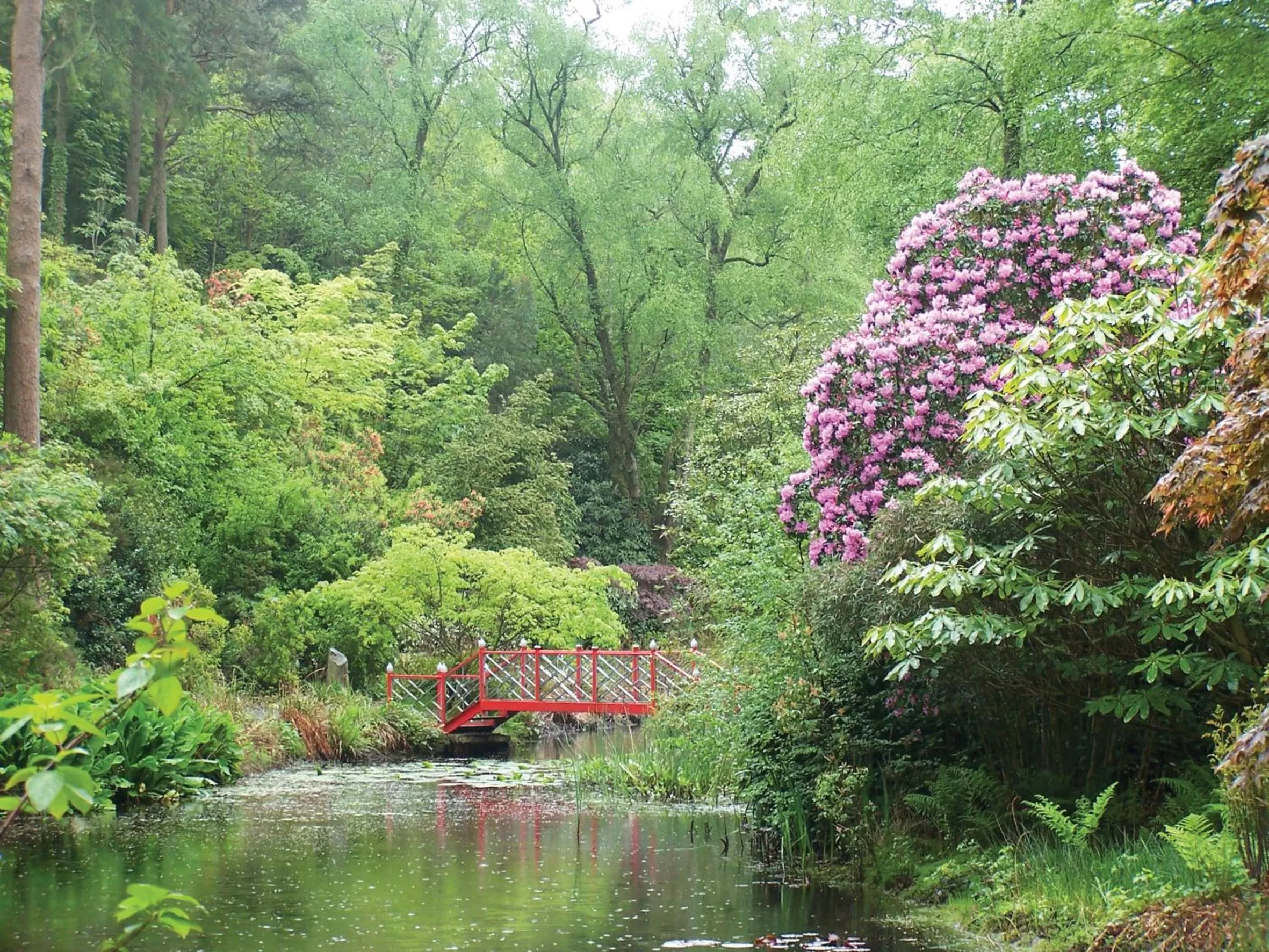 Garden in Portmeirion Village & Castell Deudraeth