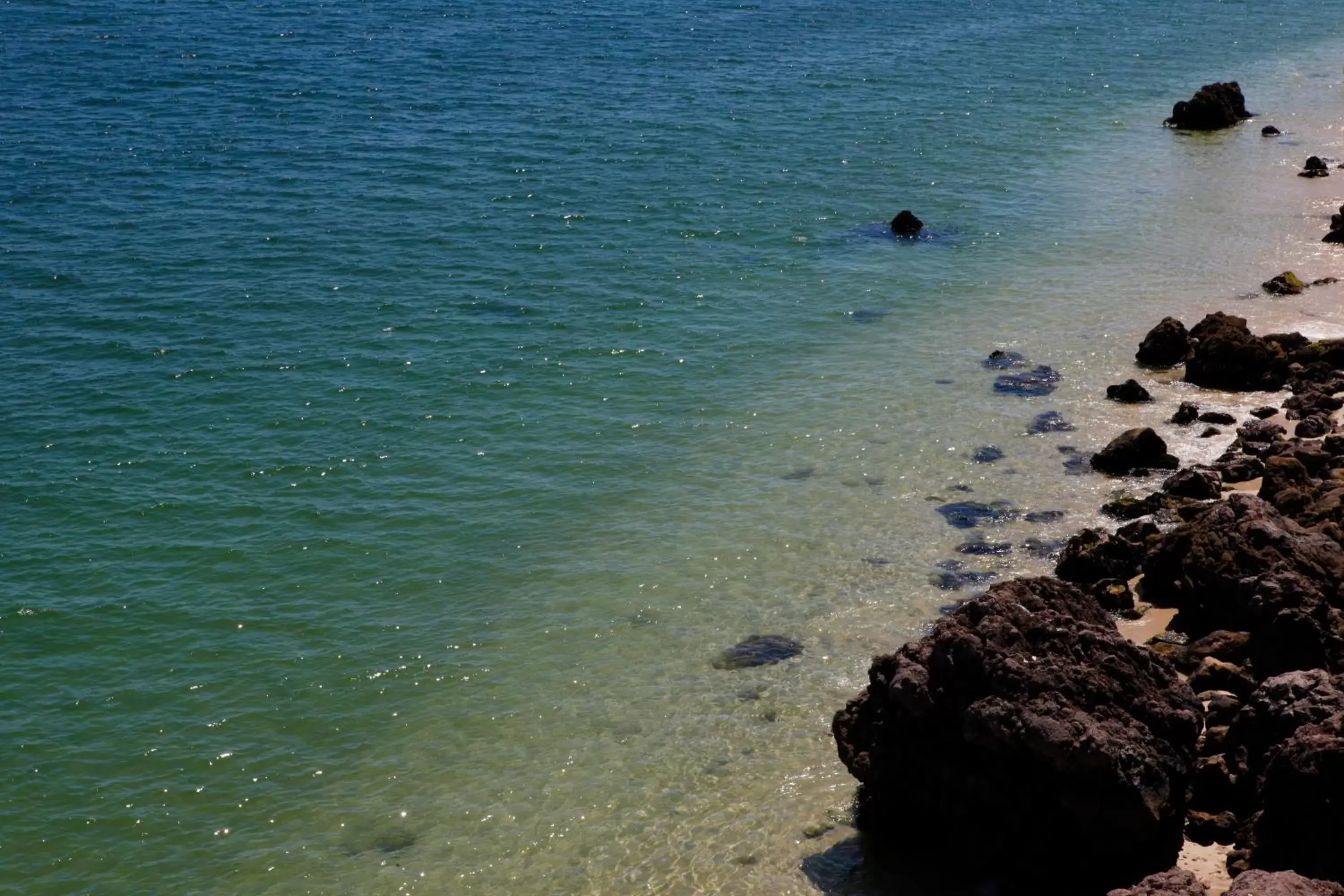 Natural landscape, Beach in Hotel Casa Palmela - Small Luxury Hotels of The World, Hotel & Villas