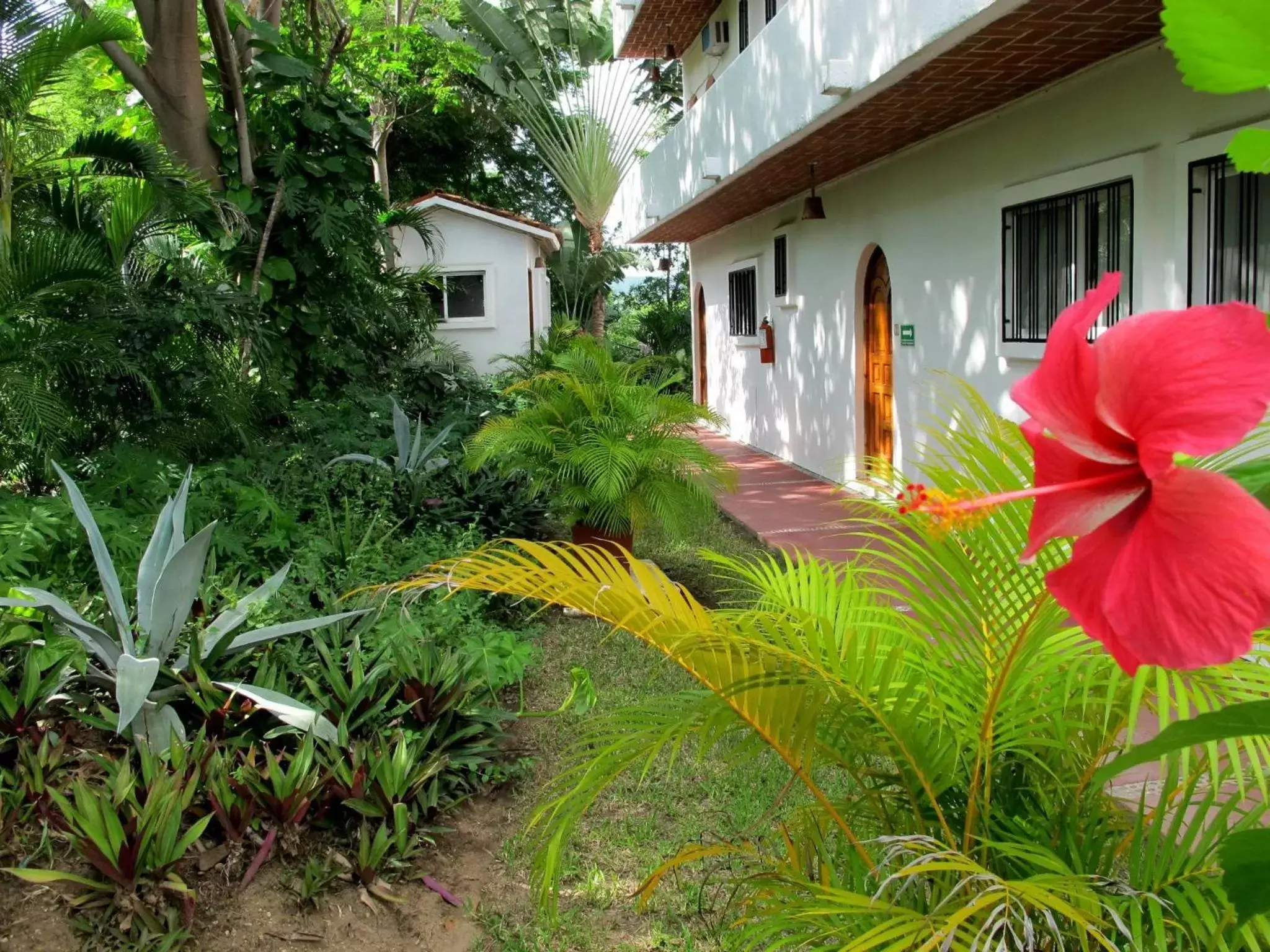 Garden, Property Building in Villas El Morro