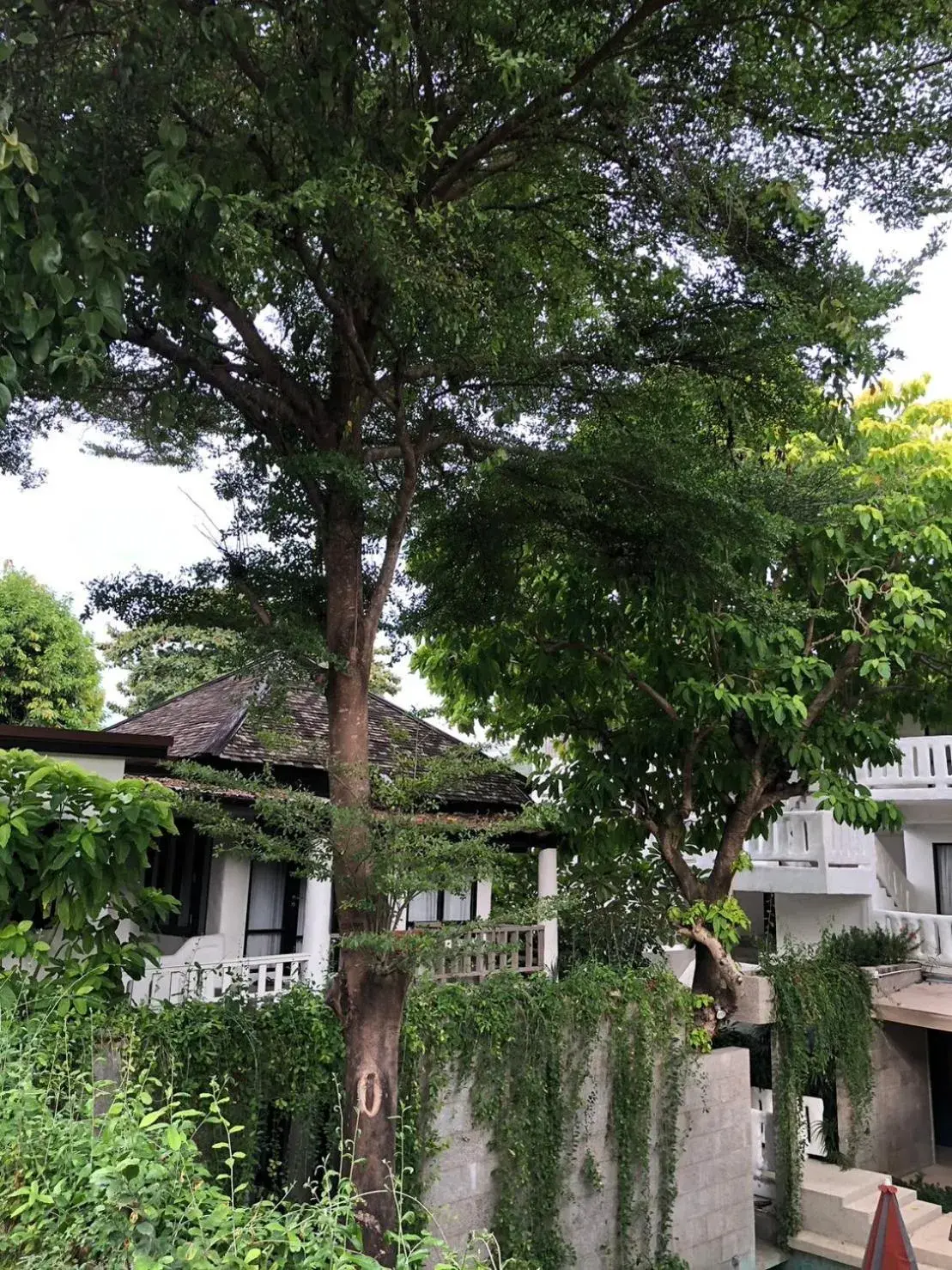 Property building in Punnpreeda Beach Resort - SHA Plus Certified Property building in Punnpreeda Beach Resort - SHA Plus Certified