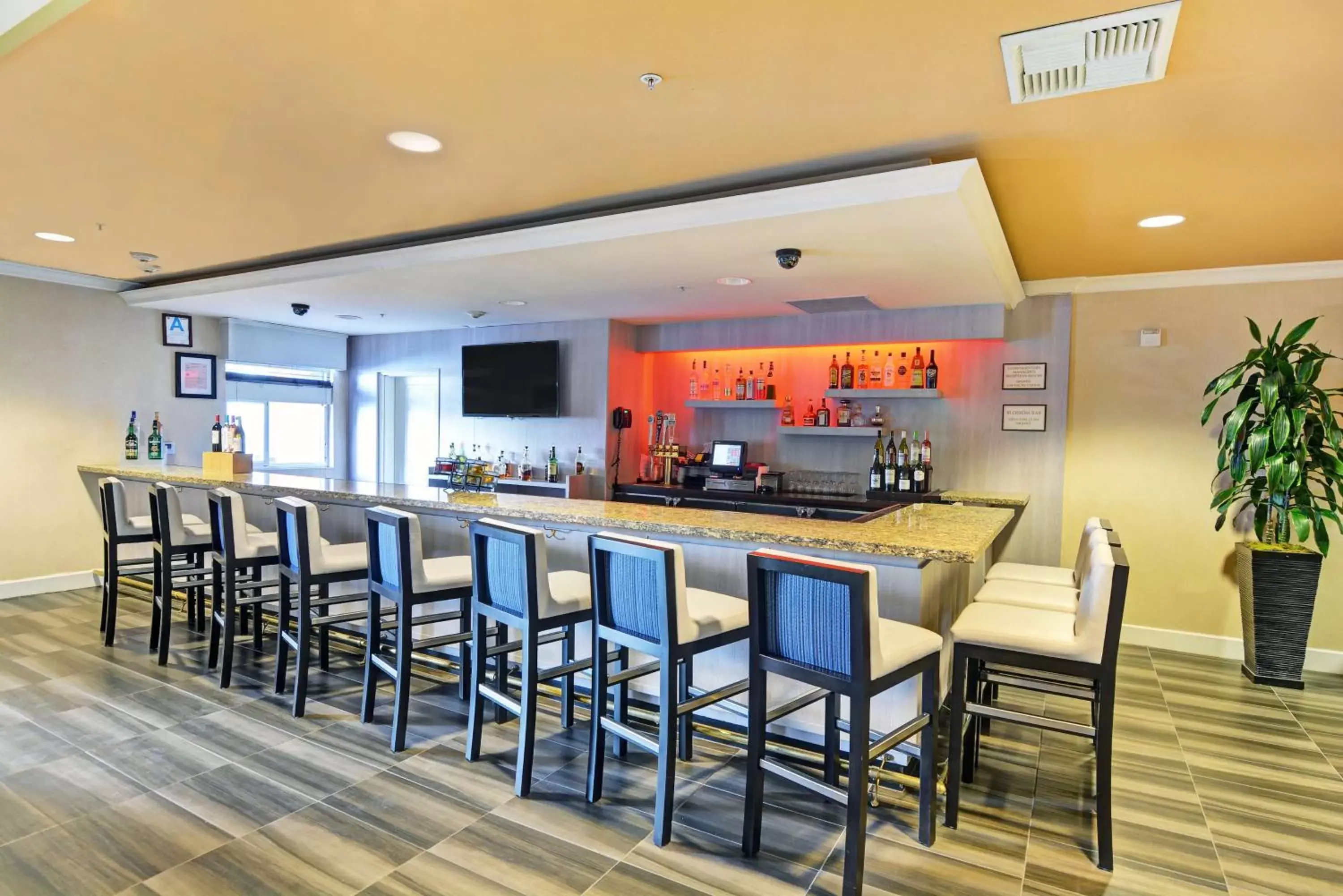 Lounge or bar, Restaurant/Places to Eat in Embassy Suites Valencia