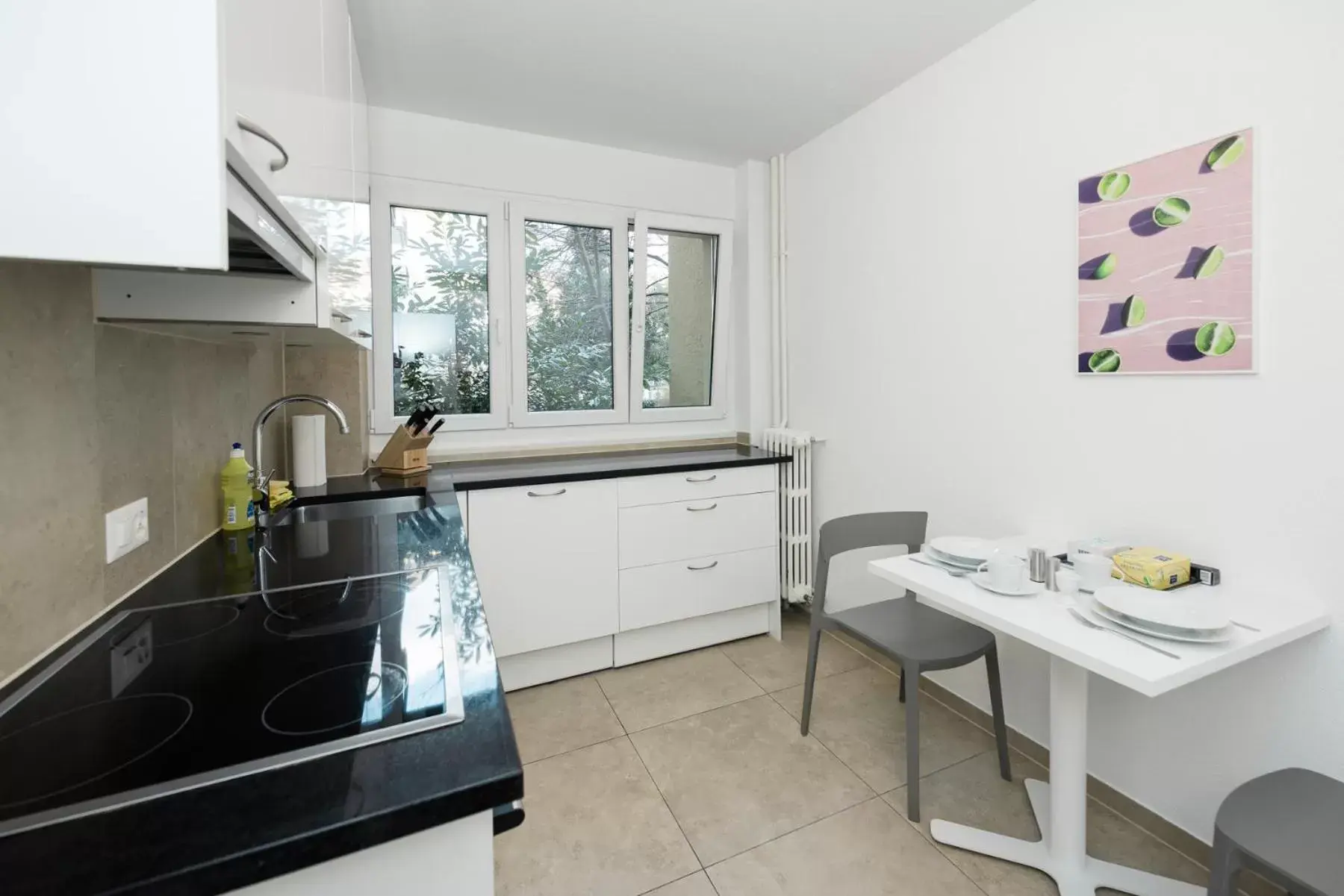 Kitchen or kitchenette, Kitchen/Kitchenette in Zurich Furnished Homes