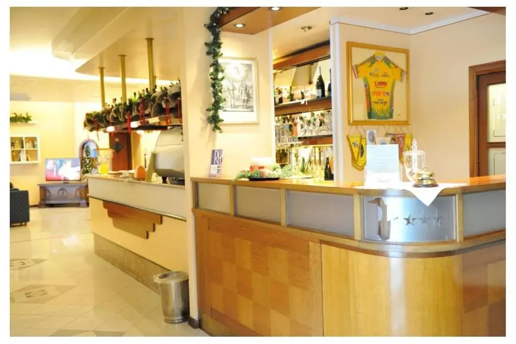Lounge or bar, Lobby/Reception in Rometta Hotel
