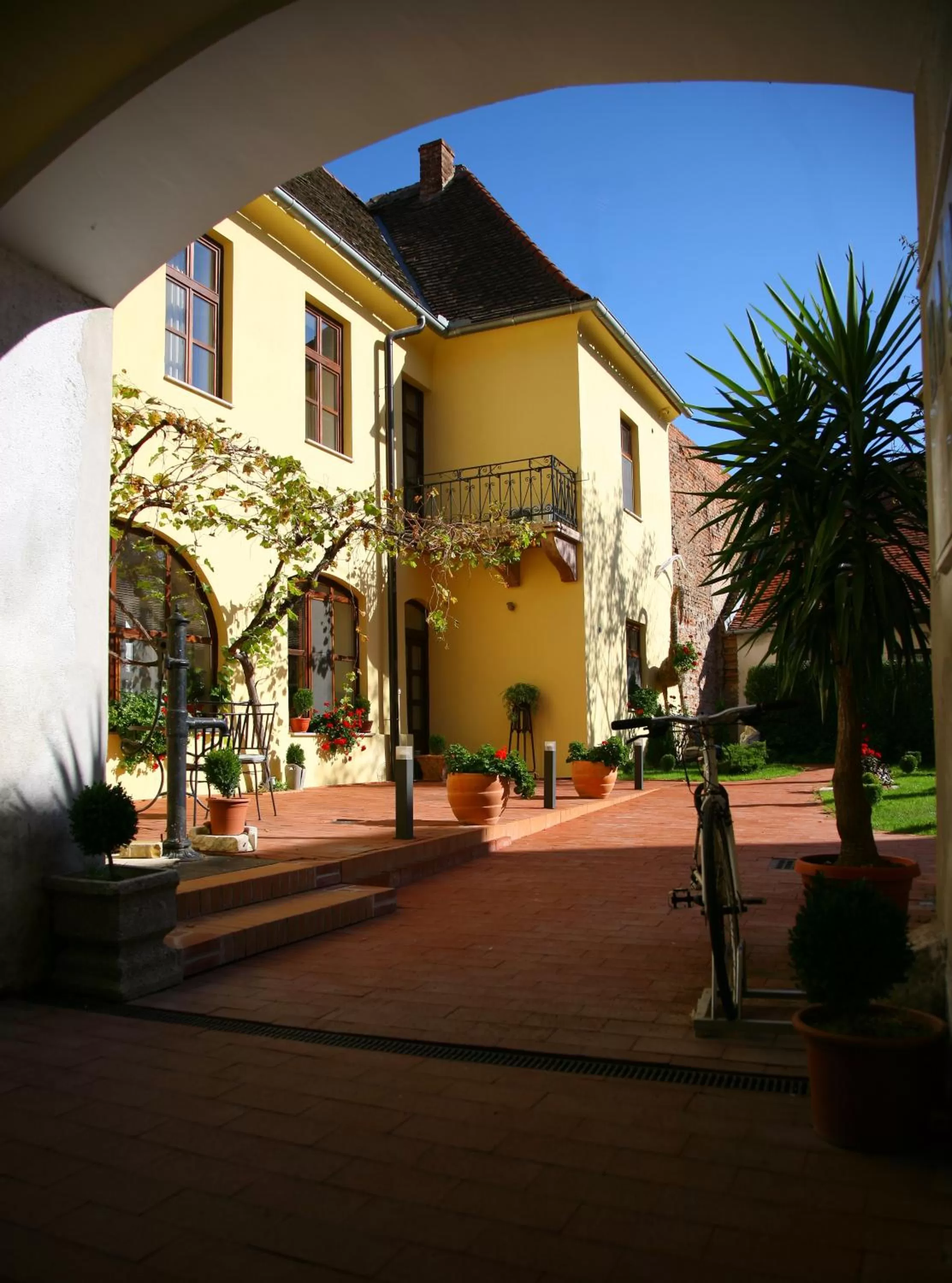 Day in Maksimilian Osijek