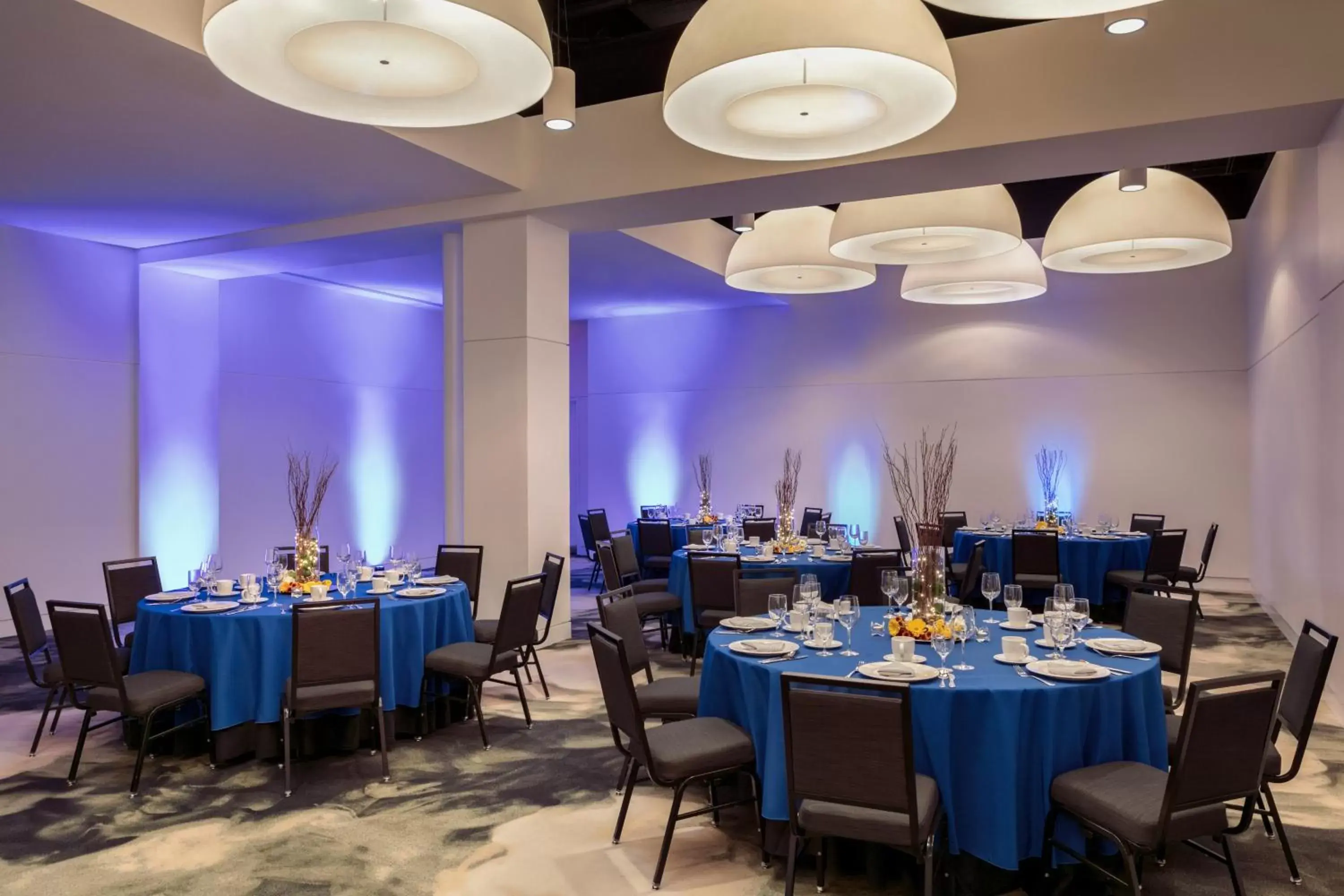Banquet/Function facilities, Restaurant/Places to Eat in Hotel Indigo Atlanta Downtown, Near Peachtree Center, an IHG Hotel