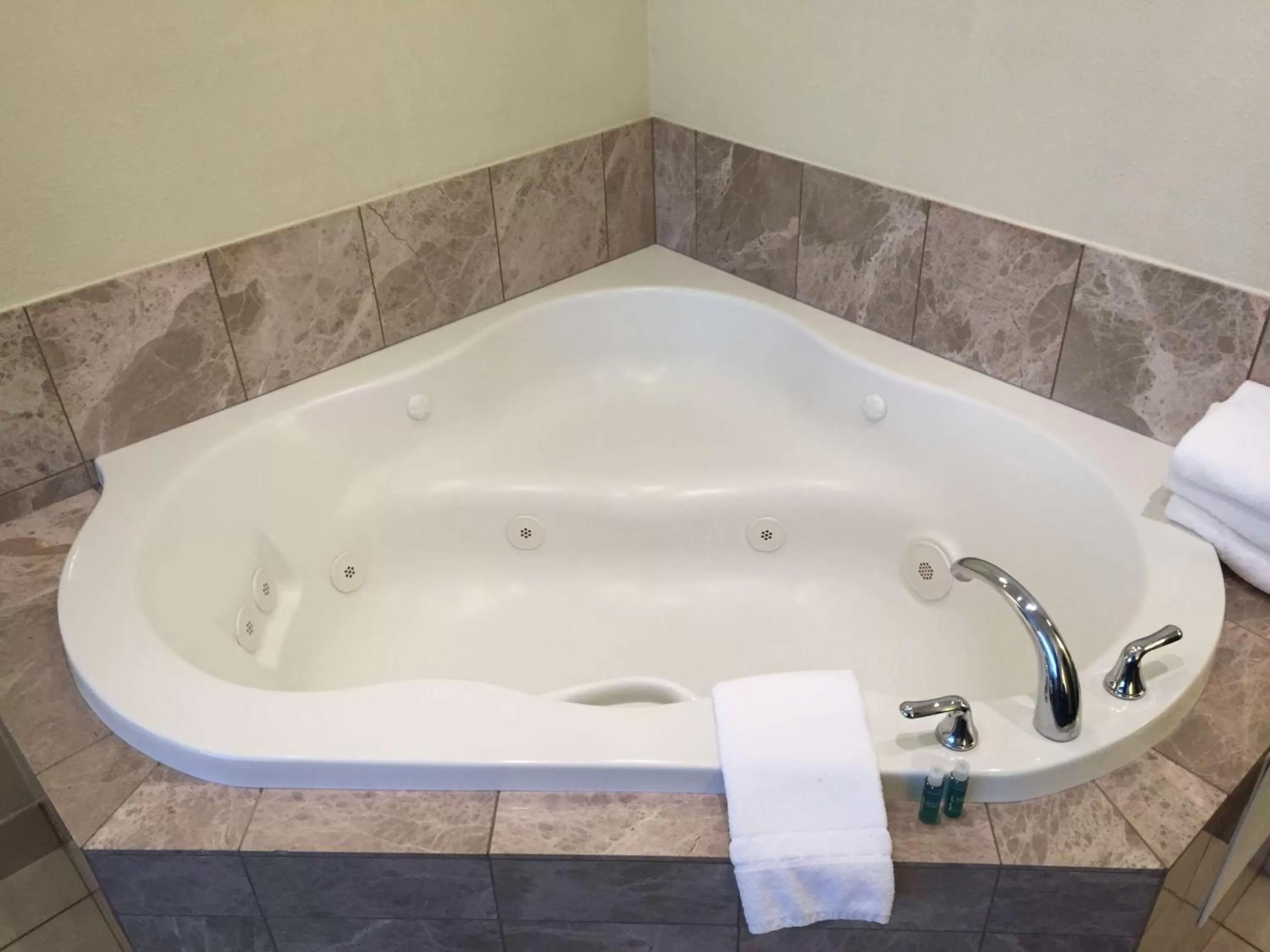 Bathroom in Best Western Plus Reading Inn & Suites