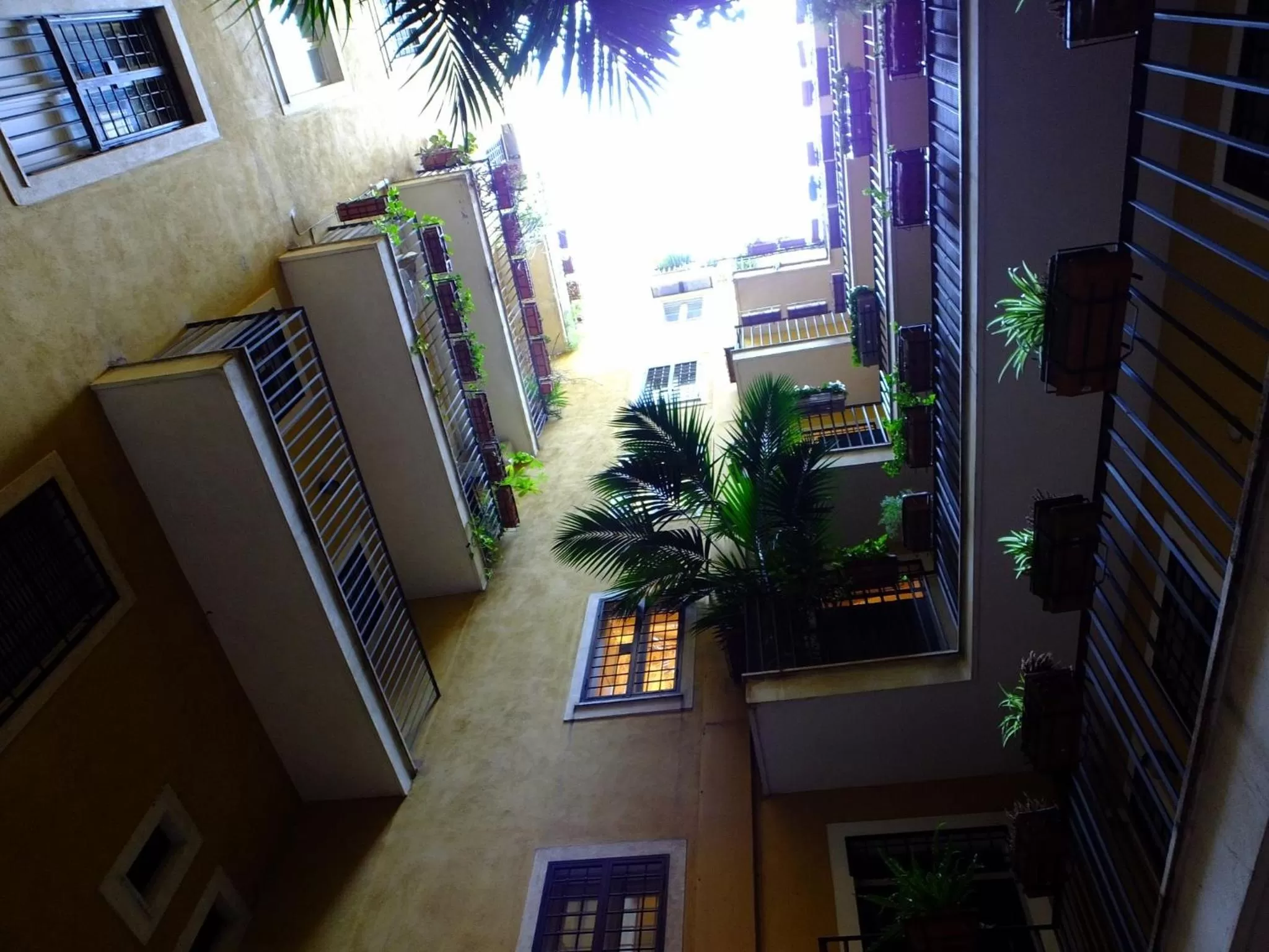 Property building in Zefiro Home