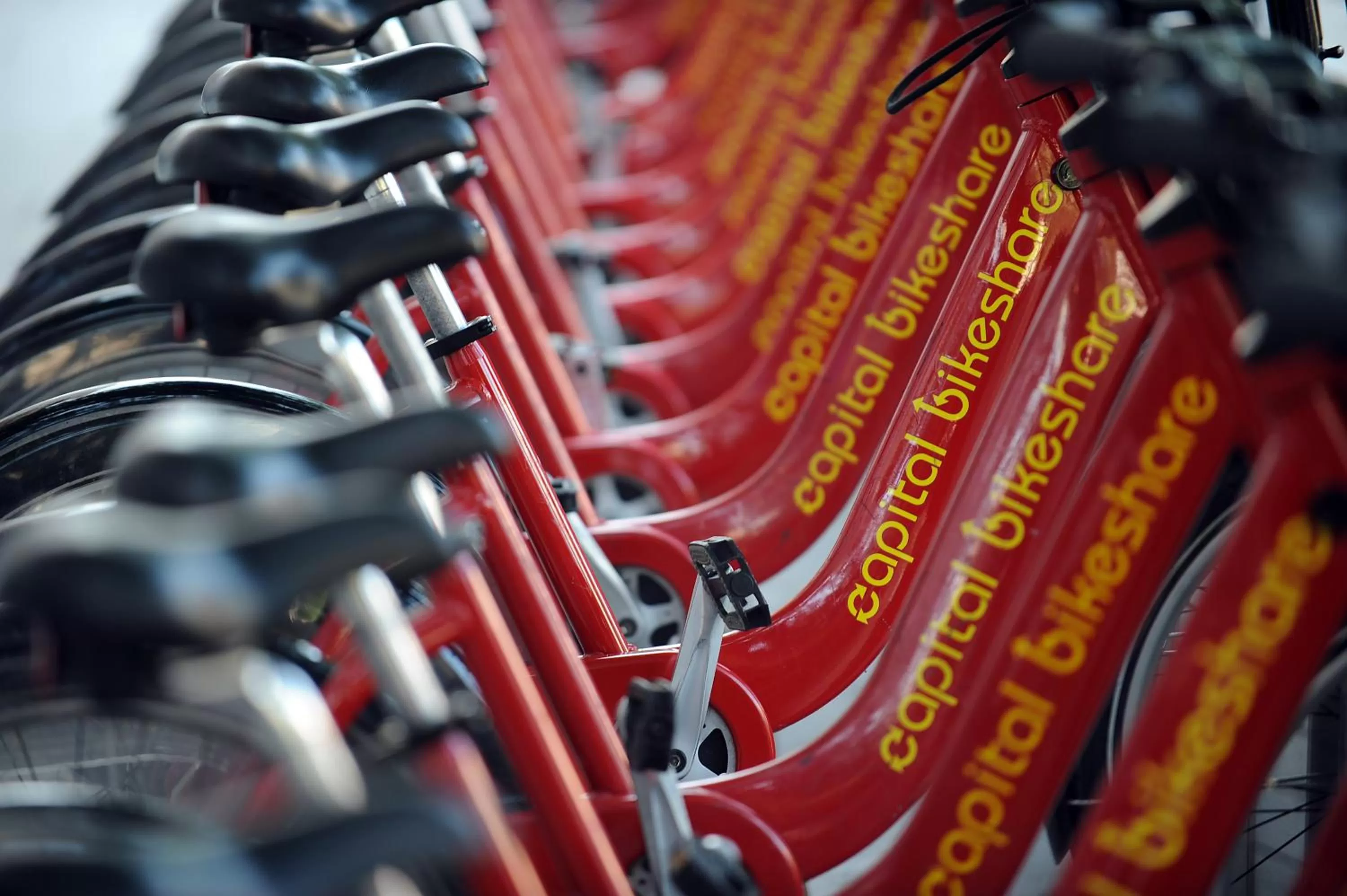 Activities in The Georgetown Inn