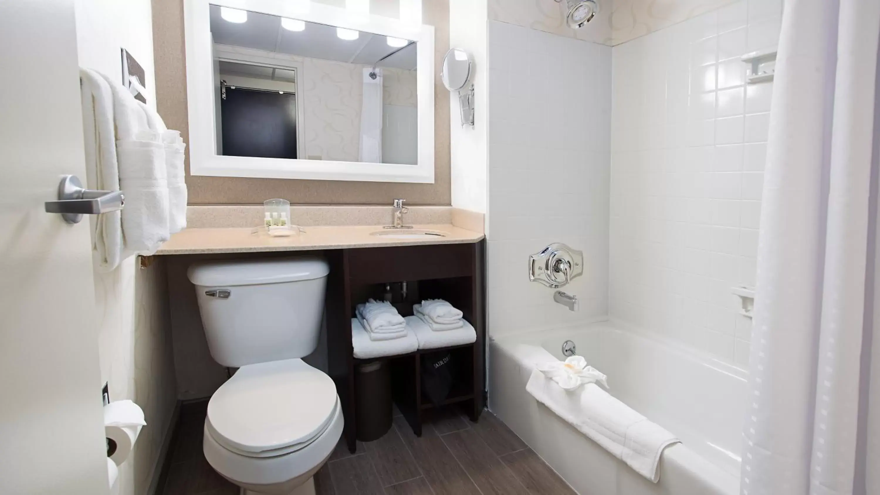 Bathroom in Holiday Inn Rochester NY - Downtown, an IHG Hotel
