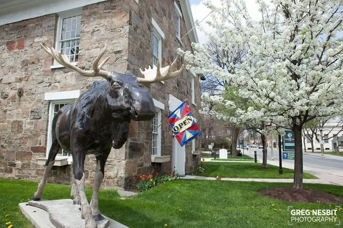 Neighbourhood, Other Animals in Governor's Rock Motel