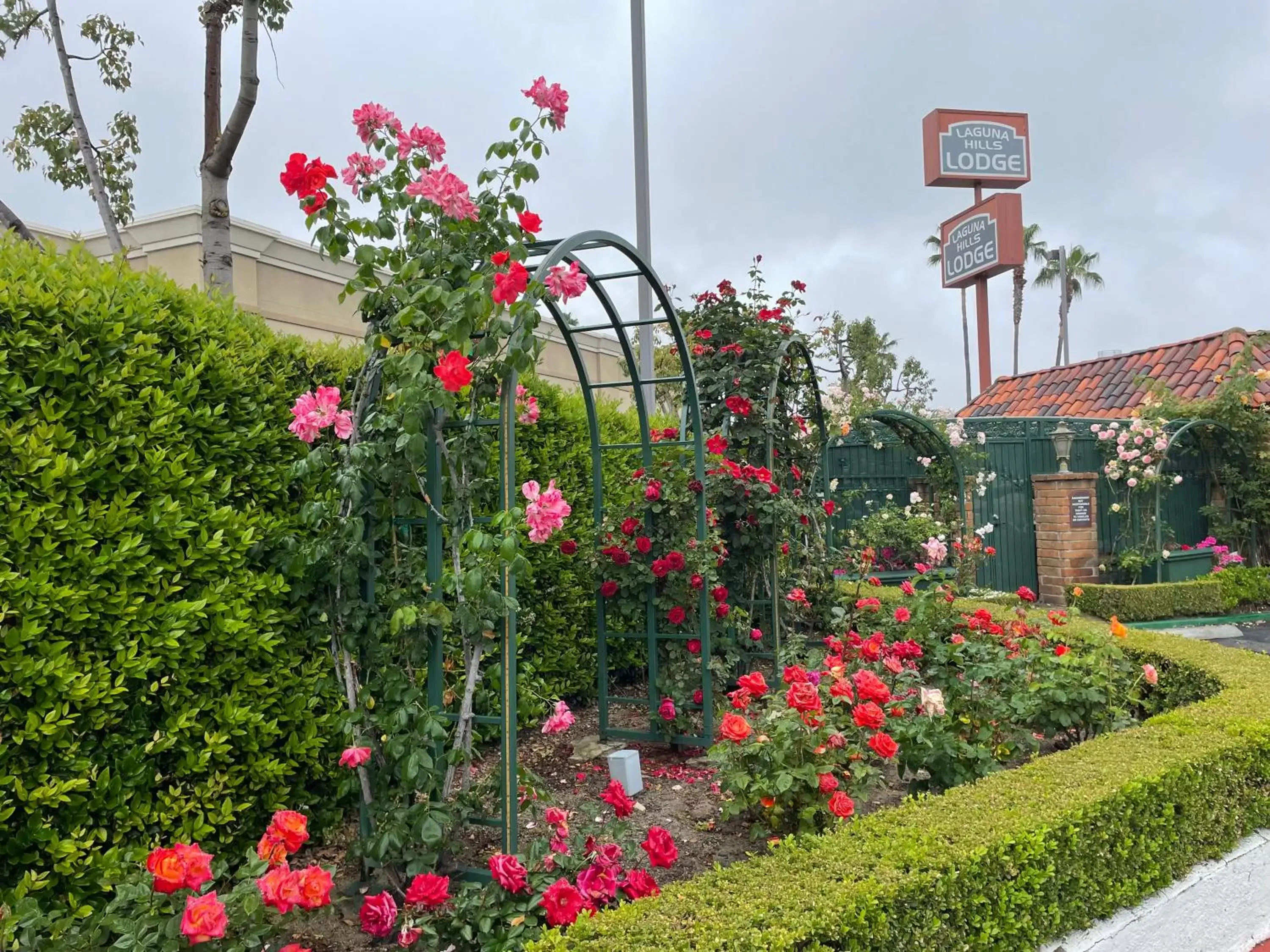 Garden, Property Building in Laguna Hills Lodge-Irvine Spectrum