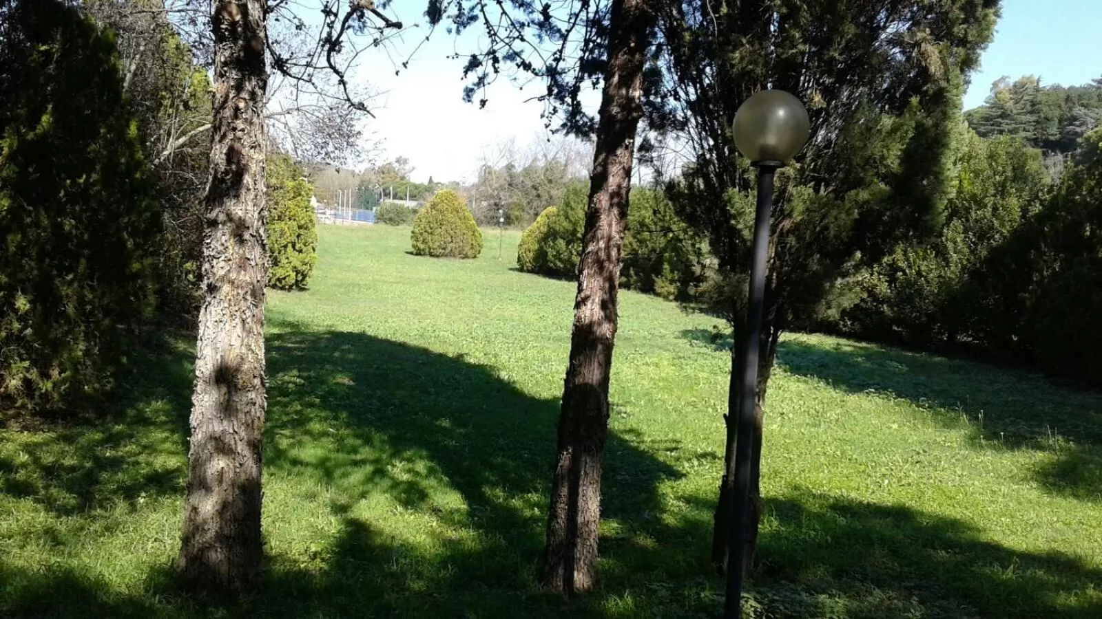 Natural landscape in Hotel Boomerang