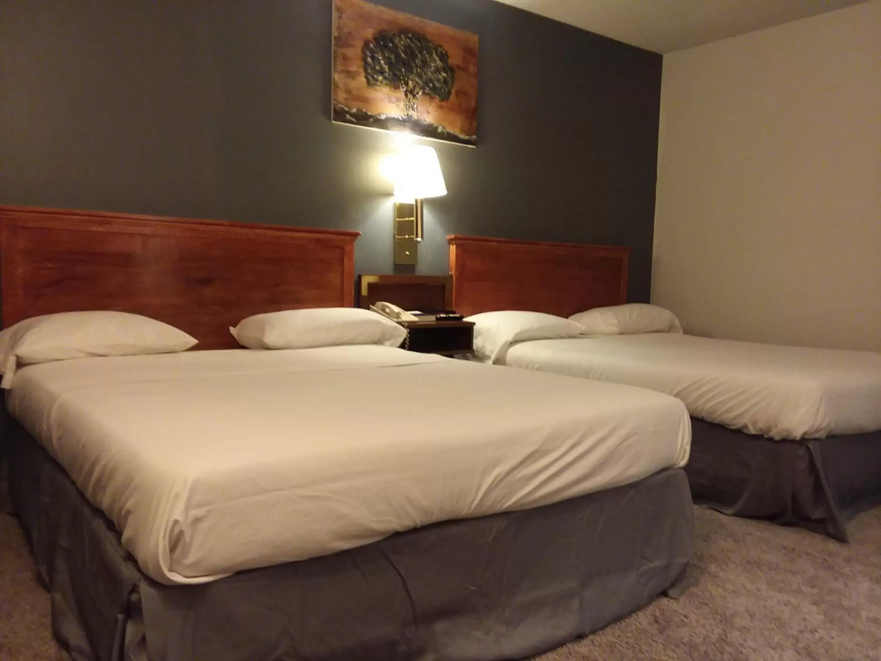 Bed in Americas Best Value Inn Laramie