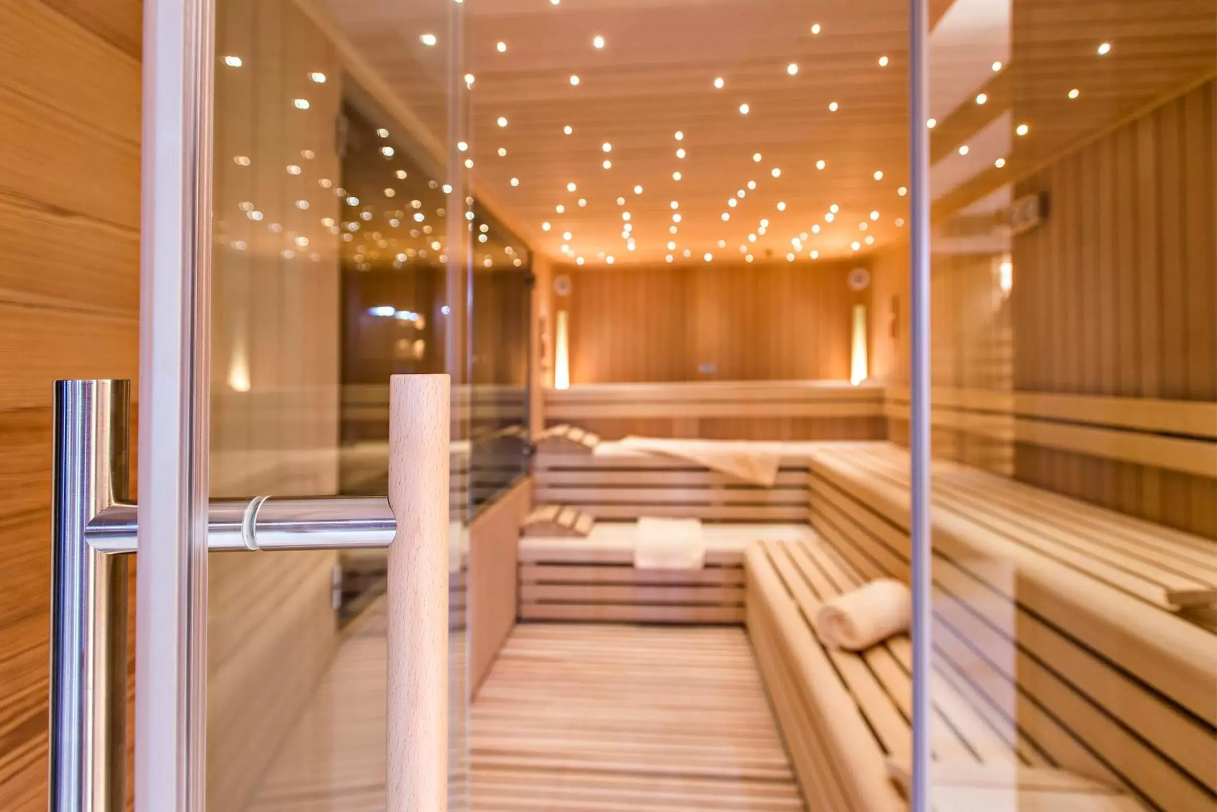 Sauna in Hotel Palü