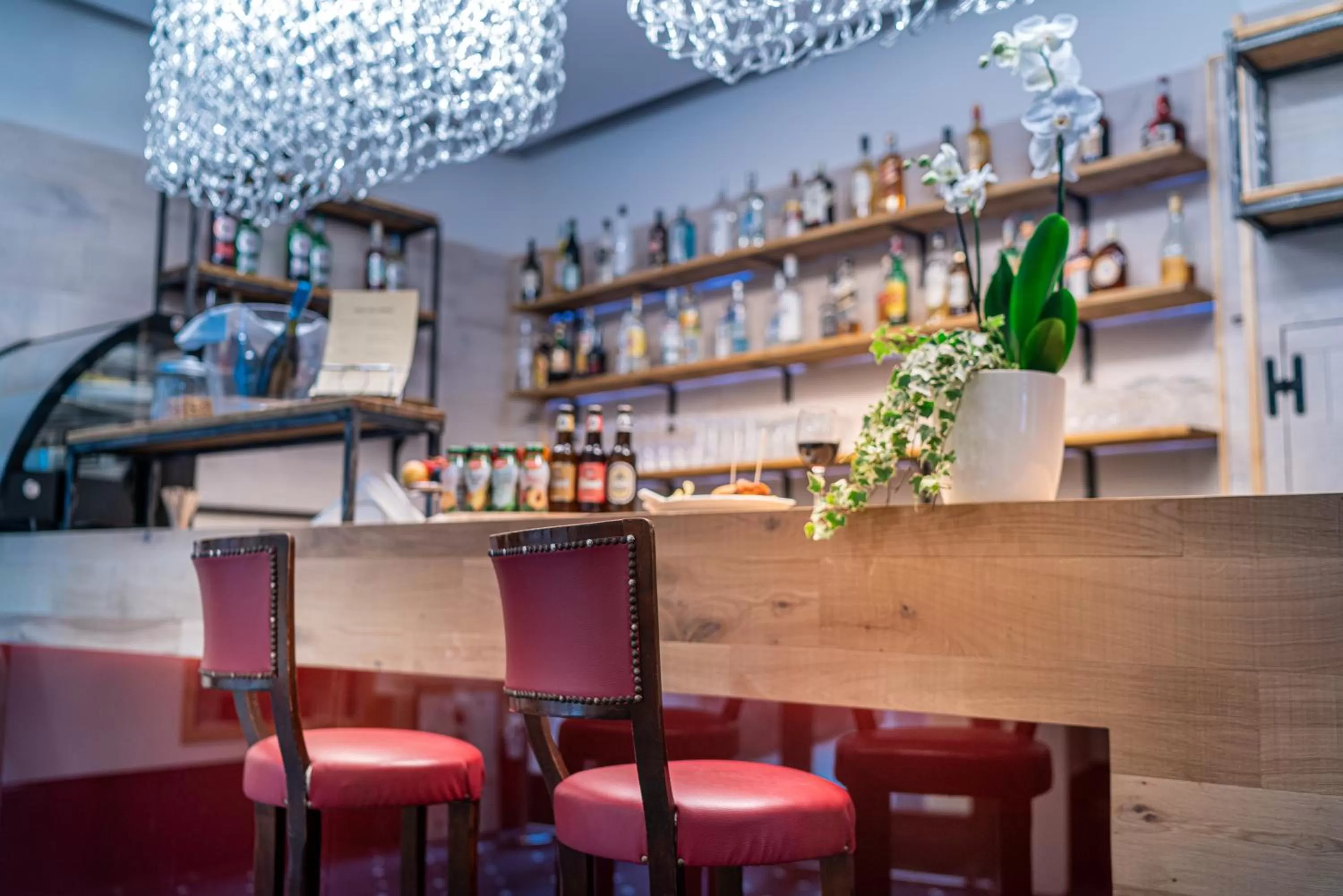 Food and drinks in All’Angelo Art Hotel