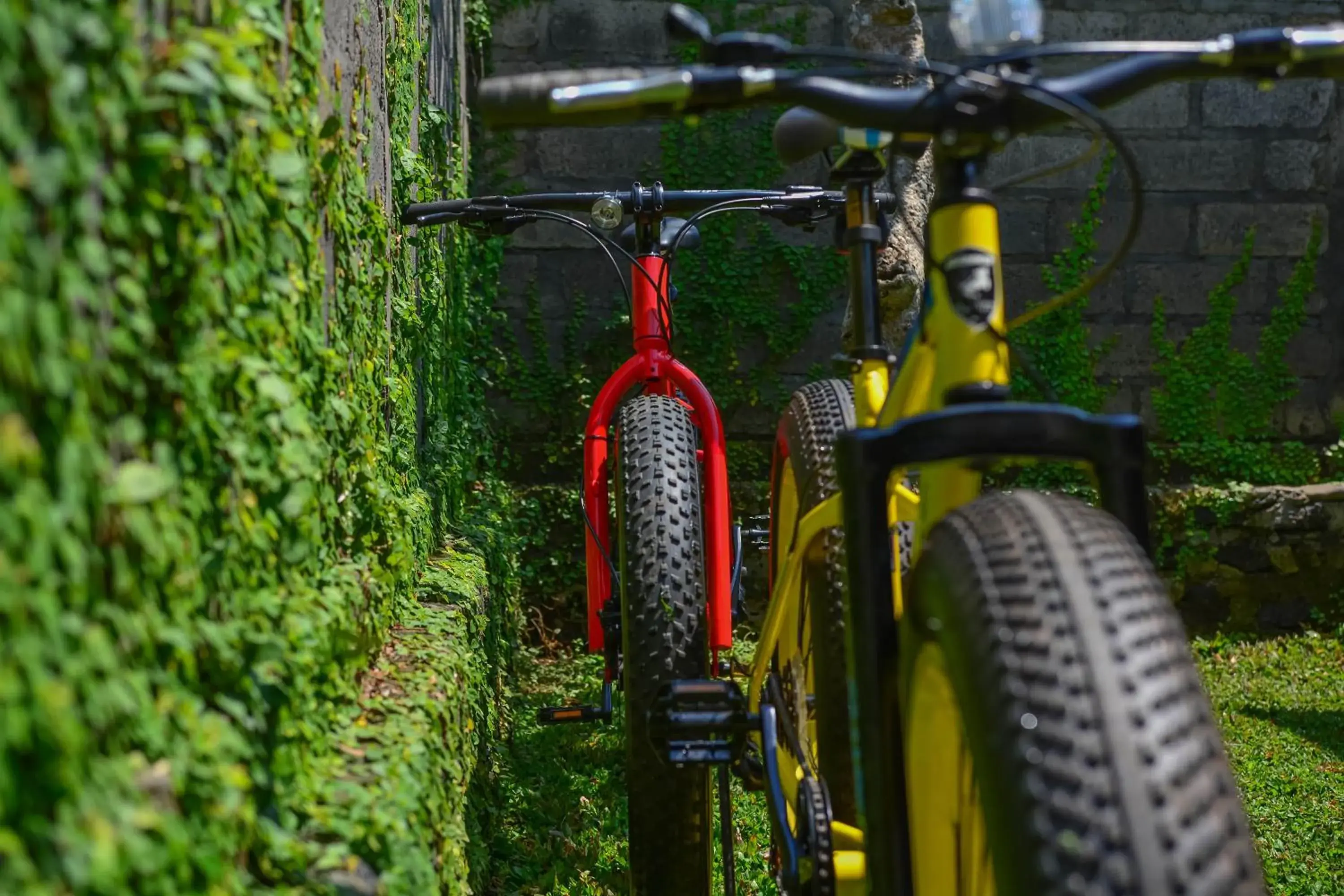 Cycling, Biking in Griya Sriwedari