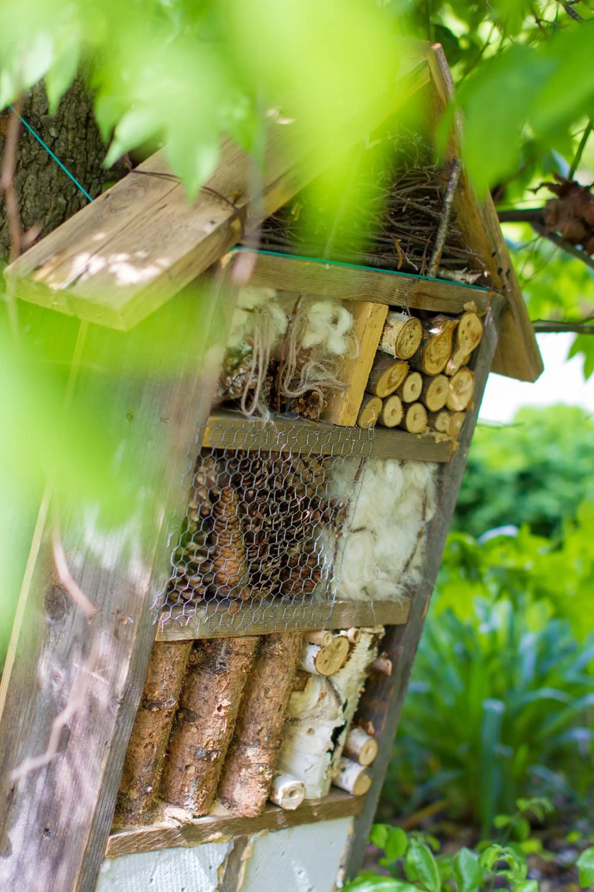 Garden in Casa Stucky