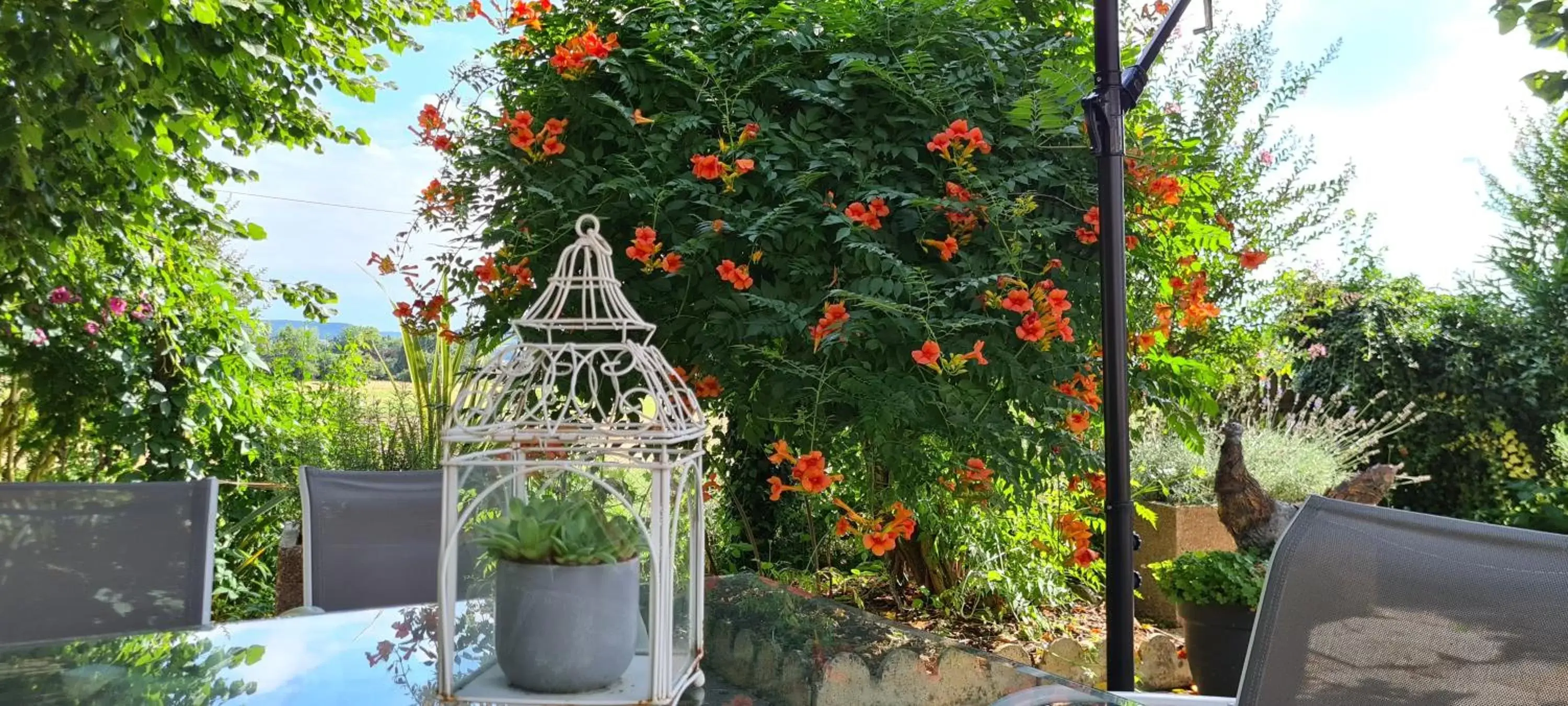 Garden view in Le Coq en Repos