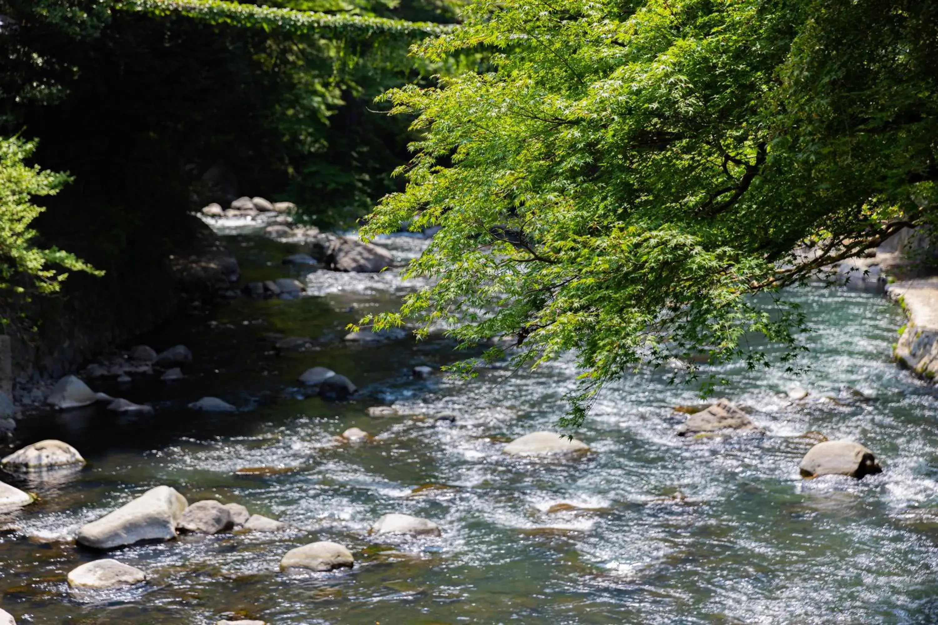 Natural landscape in Tounosawa Ichinoyu Honkan Hotel