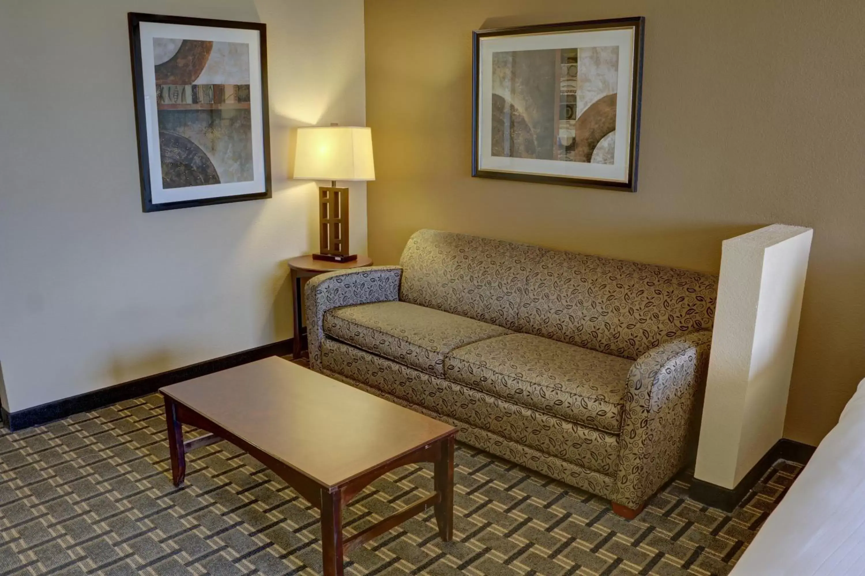 Bedroom, Seating Area in Holiday Inn Express Hotel & Suites Texarkana East, an IHG Hotel