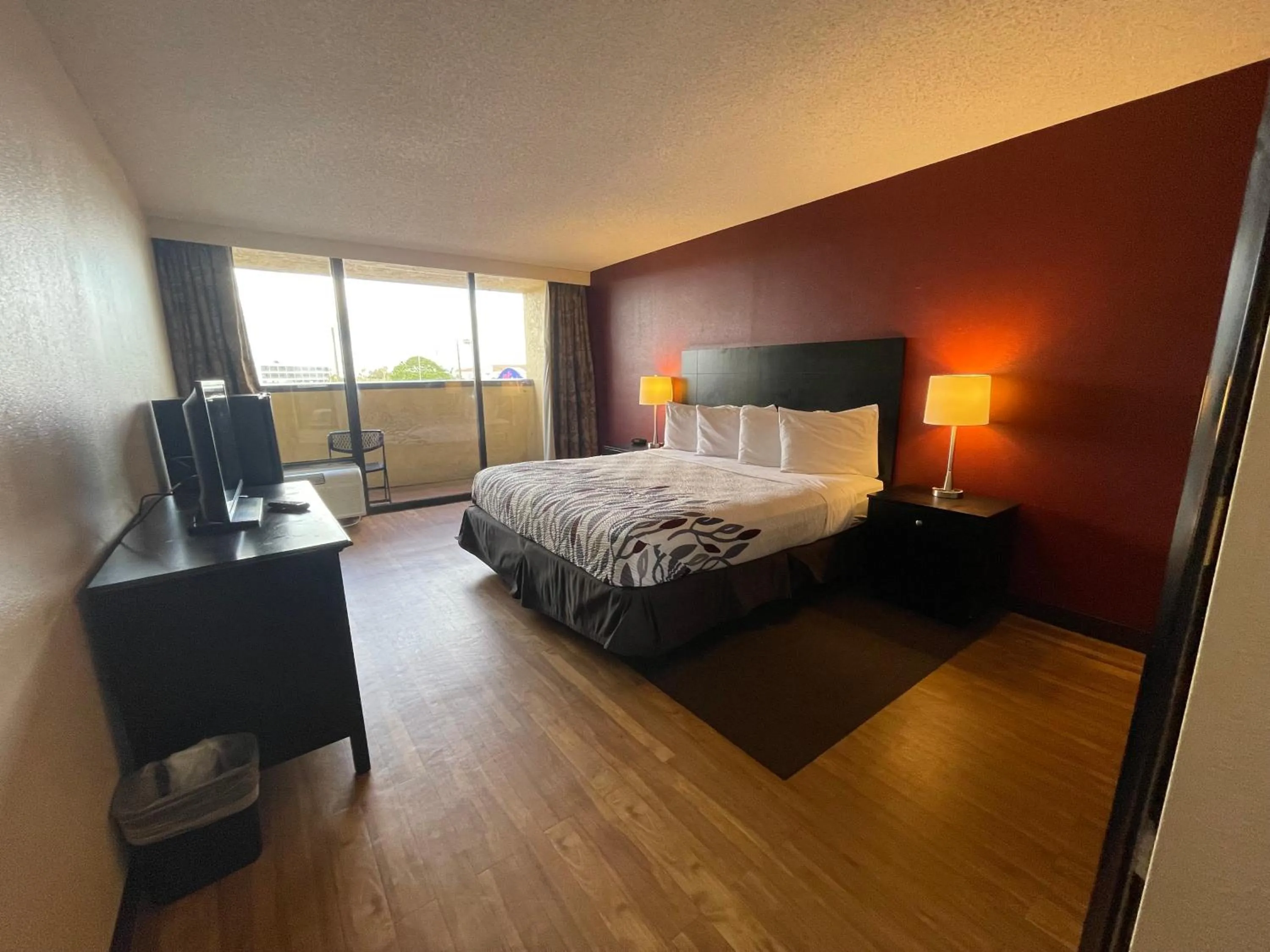 Photo of the whole room in Tropical Palms Hotel