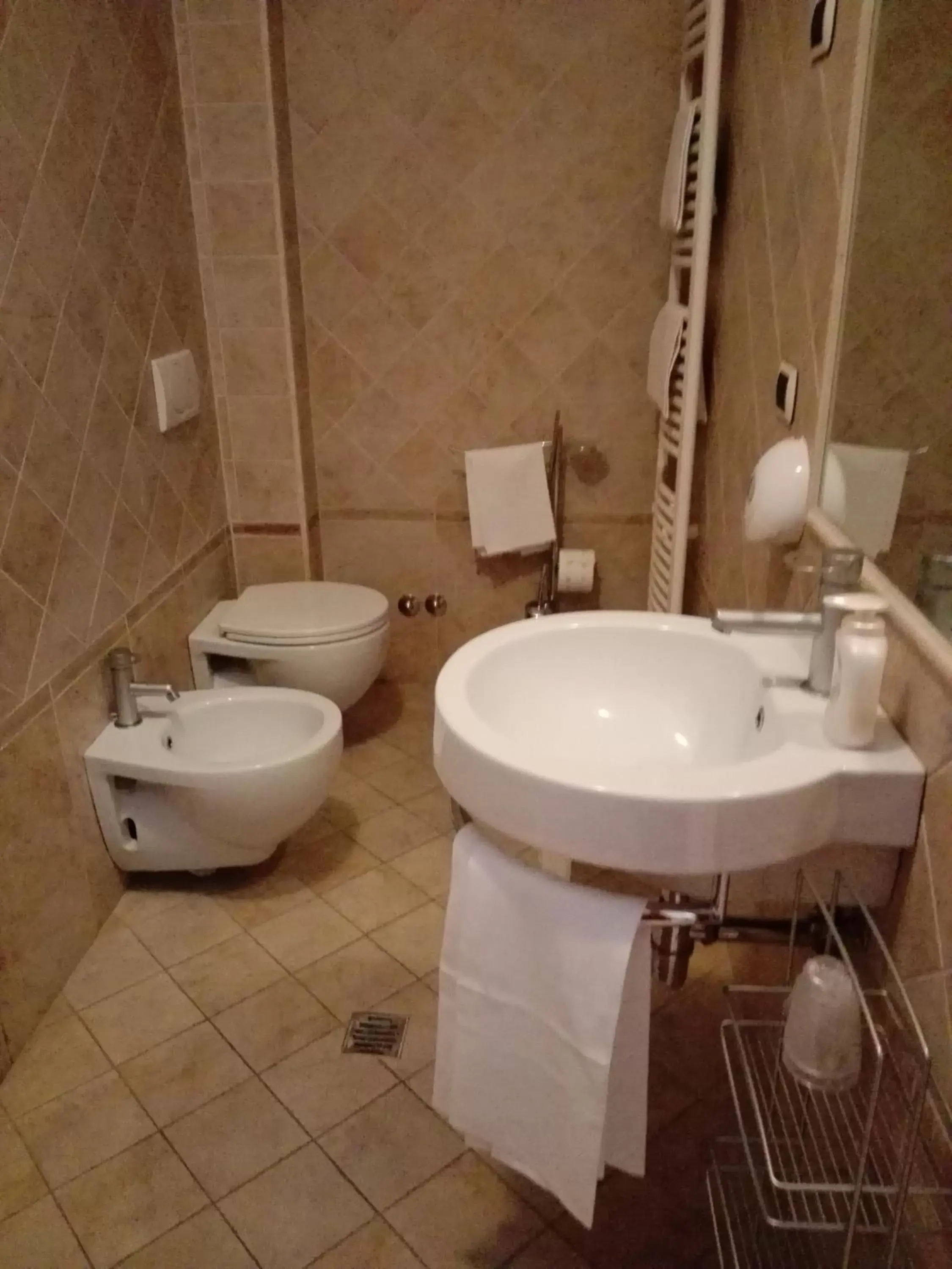 Bathroom in Hotel Ponte San Vittorino