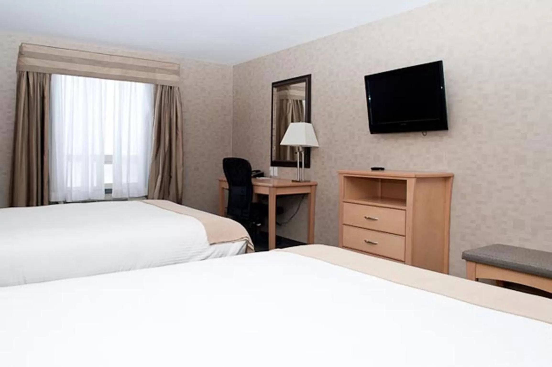 TV and multimedia, Bed in Paradise Inn and Suites