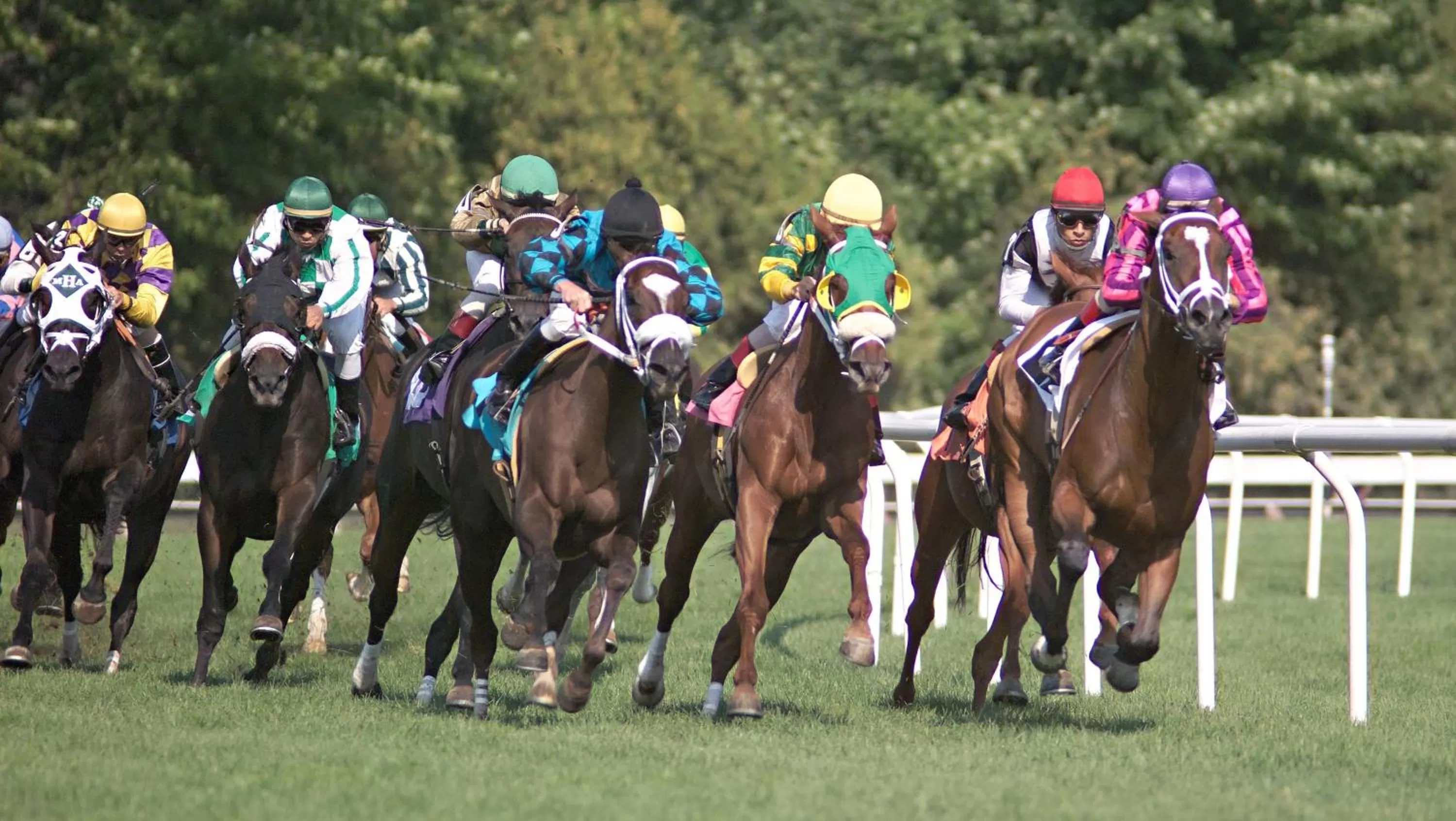 Nearby landmark in Holiday Inn Saratoga Springs by IHG