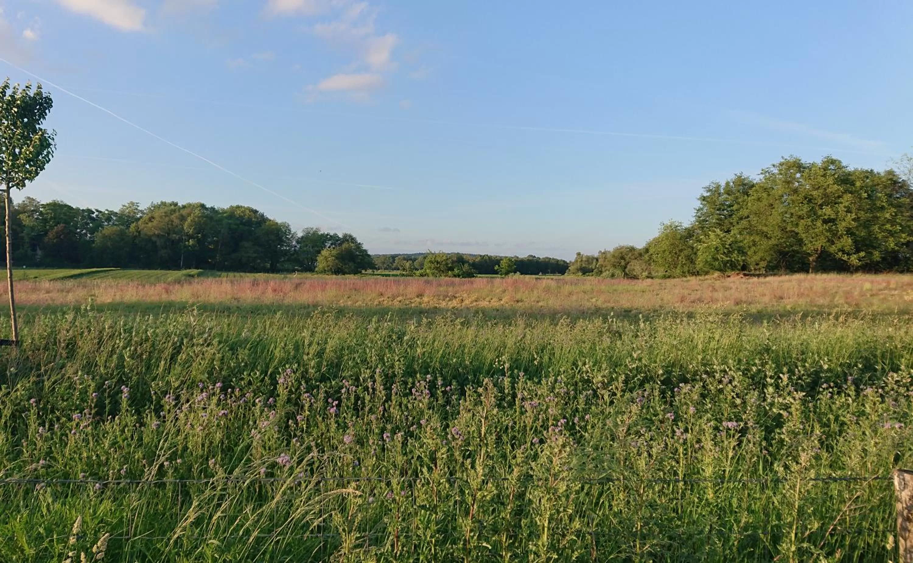 Natural Landscape in De Sprokkel