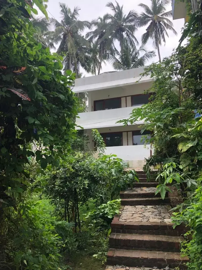 Budget Double or Twin Room - single occupancy in Anitha's Garden Stay Budget Double or Twin Room - single occupancy in Anitha's Garden Stay