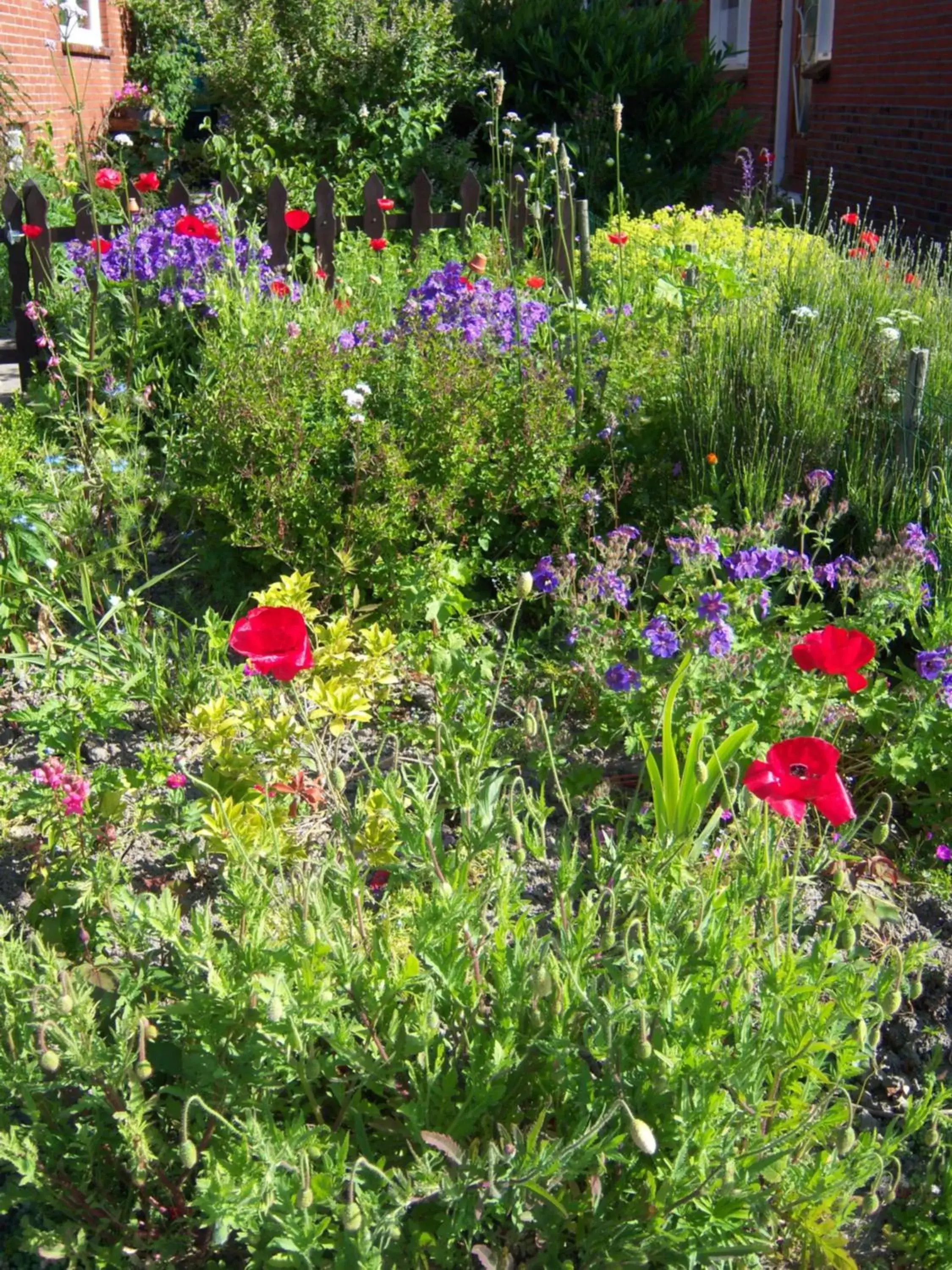 Summer, Garden in de Twee Paardjes