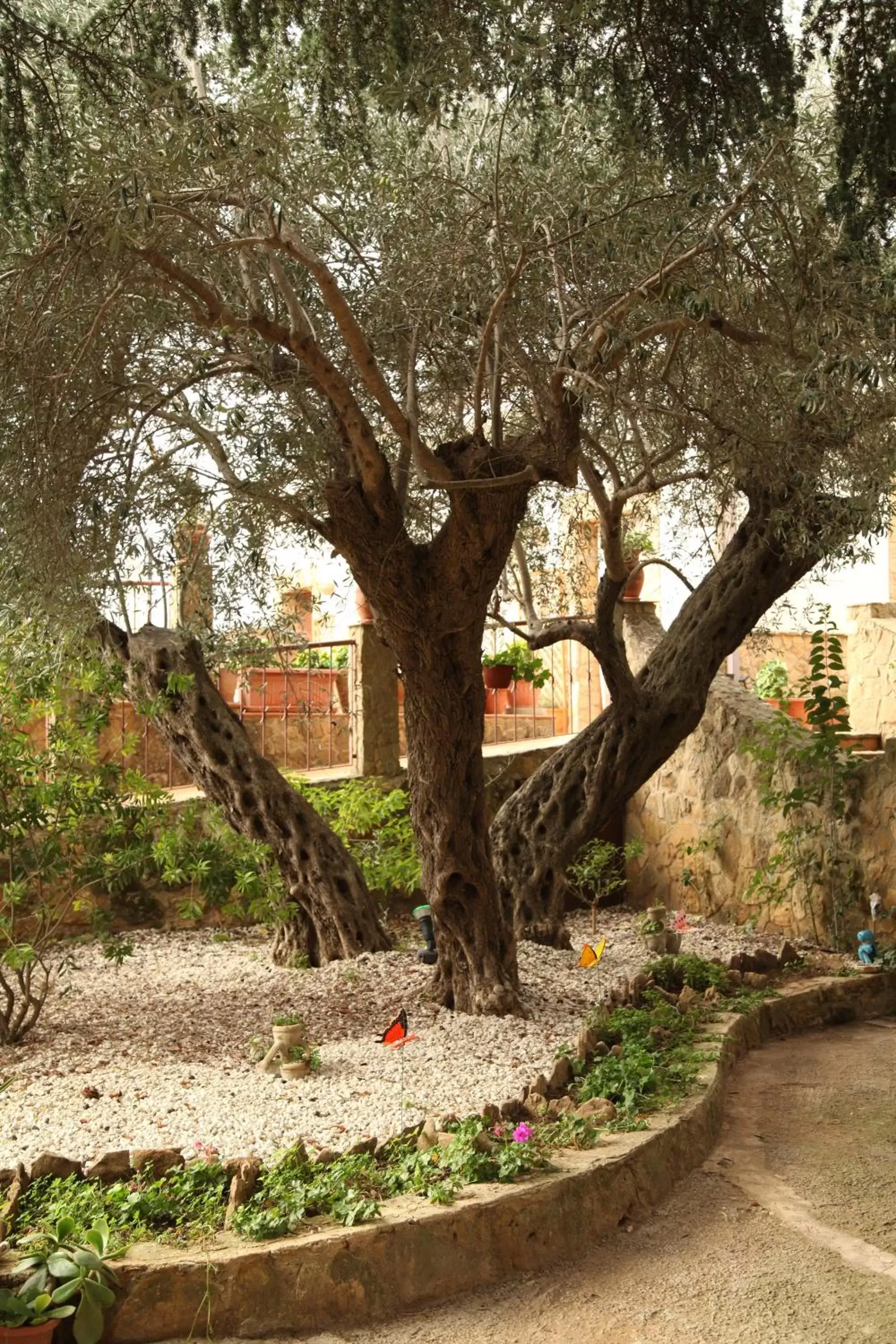 Garden in B&B Villa Casablanca