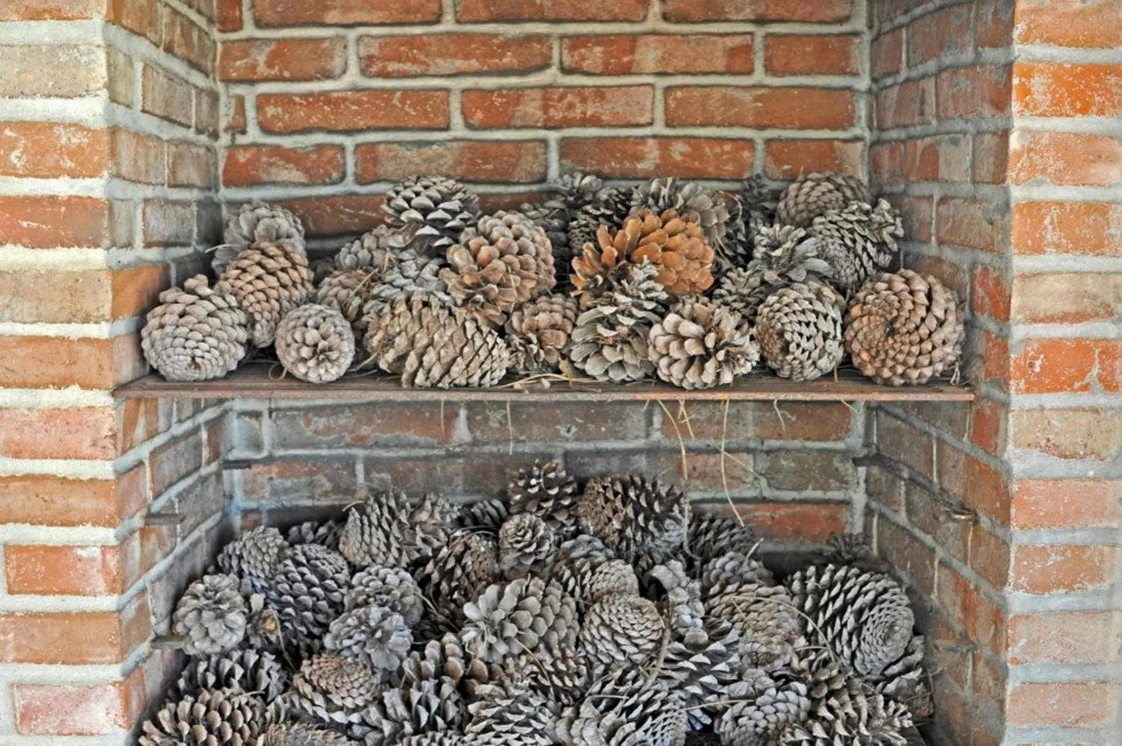 Decorative detail in Hotel Rural Monte Da Rosada