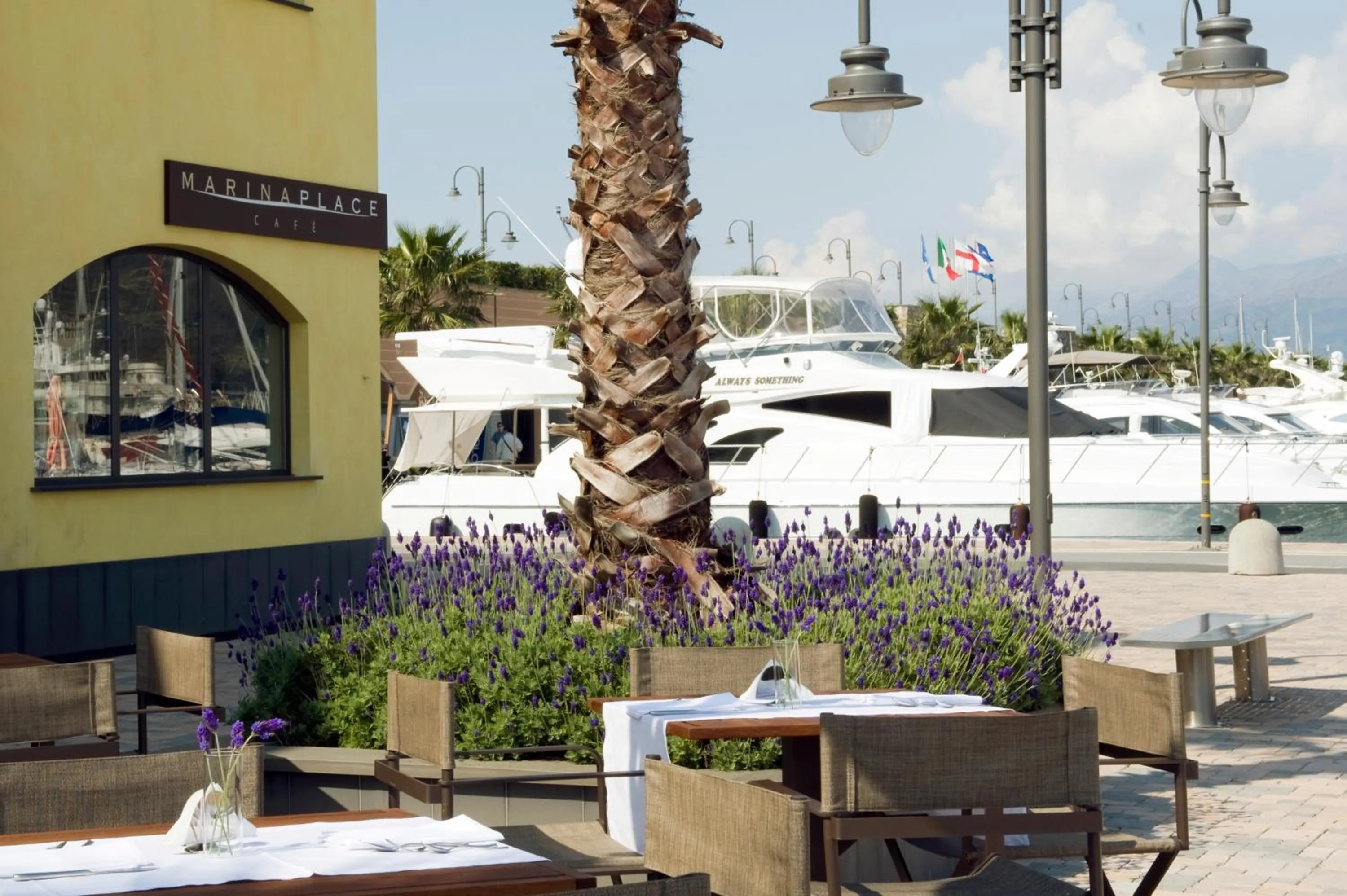 Lounge or bar in Marina Place Resort