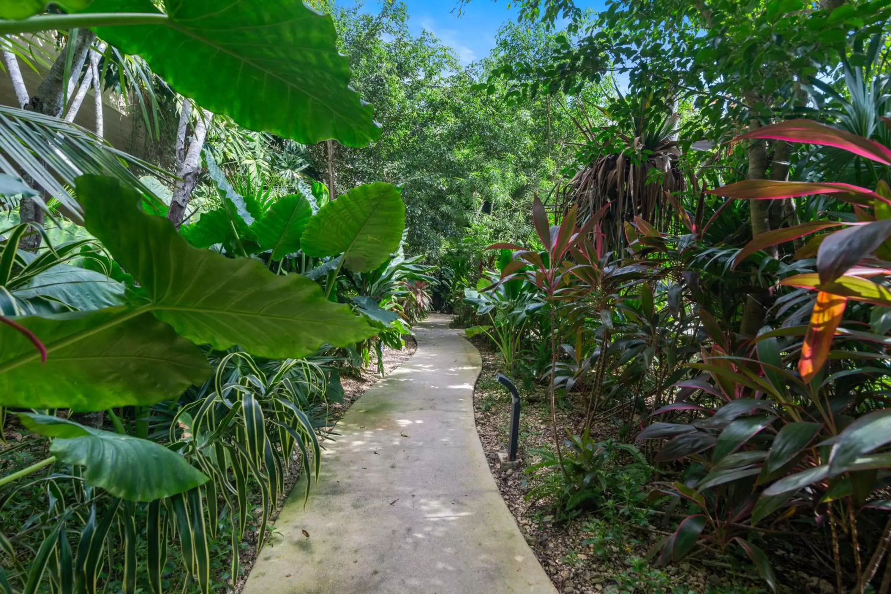 Garden in MISTIQ Tulum Luxury Apartments