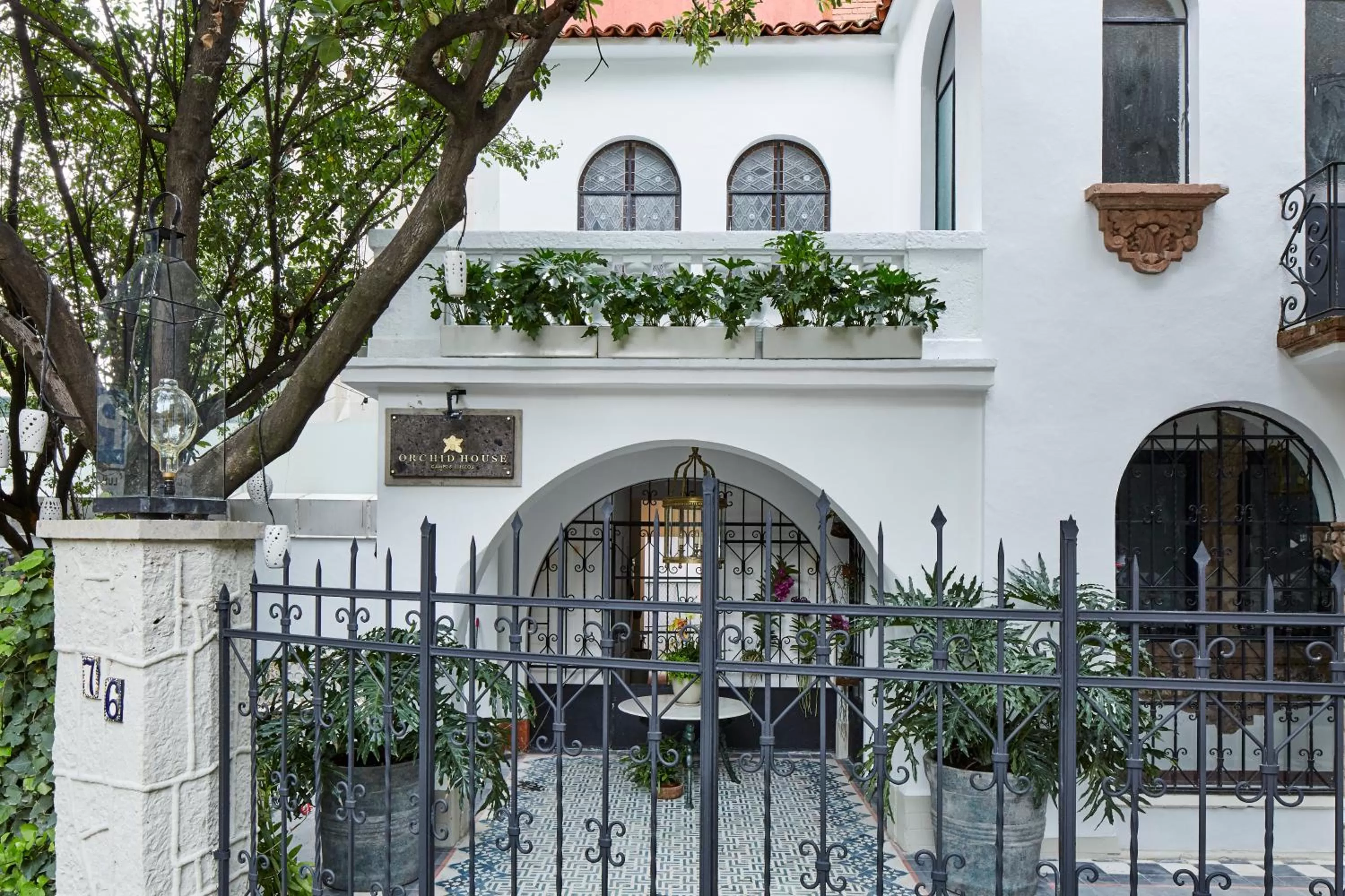 Facade/entrance in Orchid House Mexico City