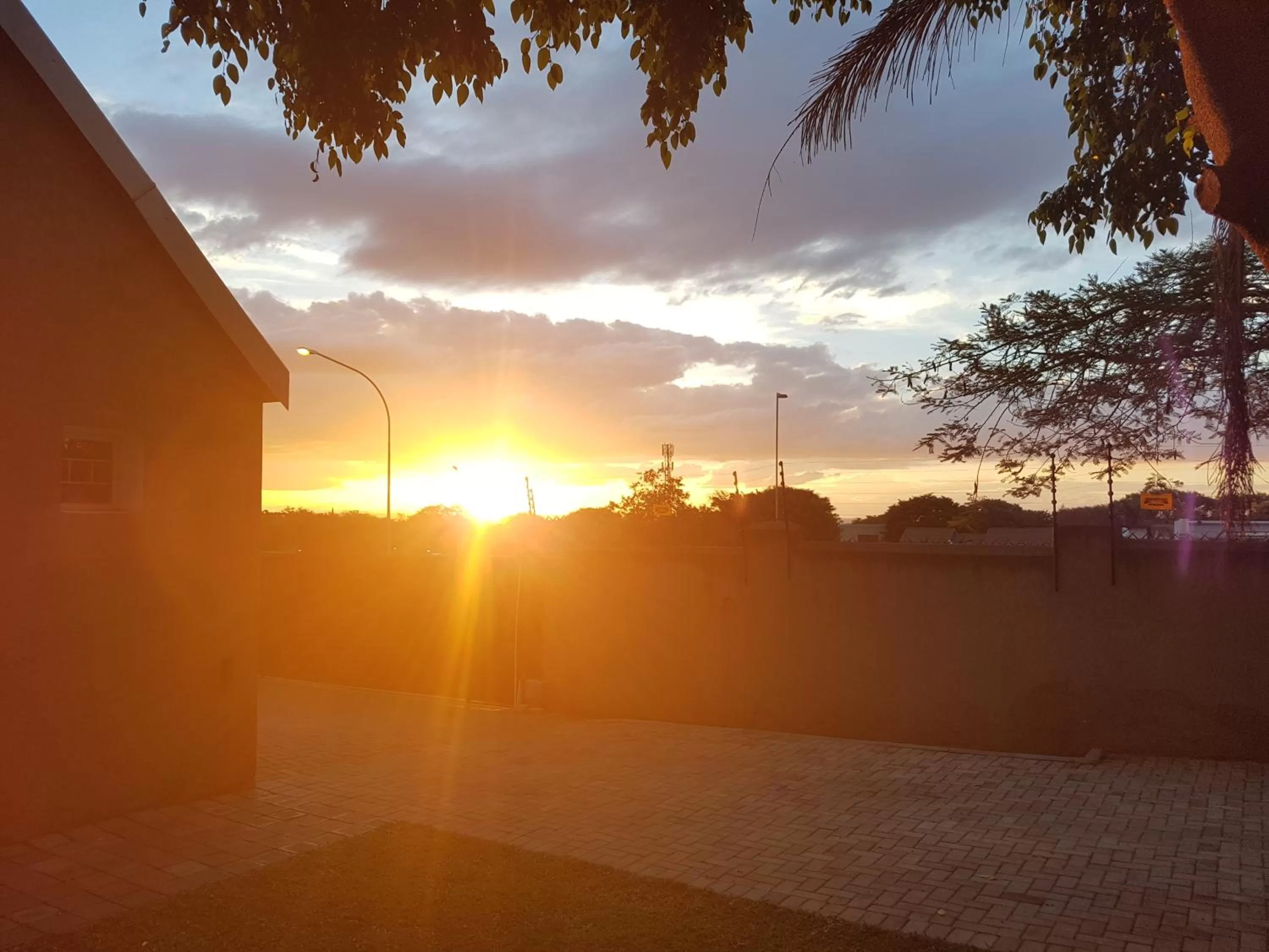 Sunset in The Leopard Tree